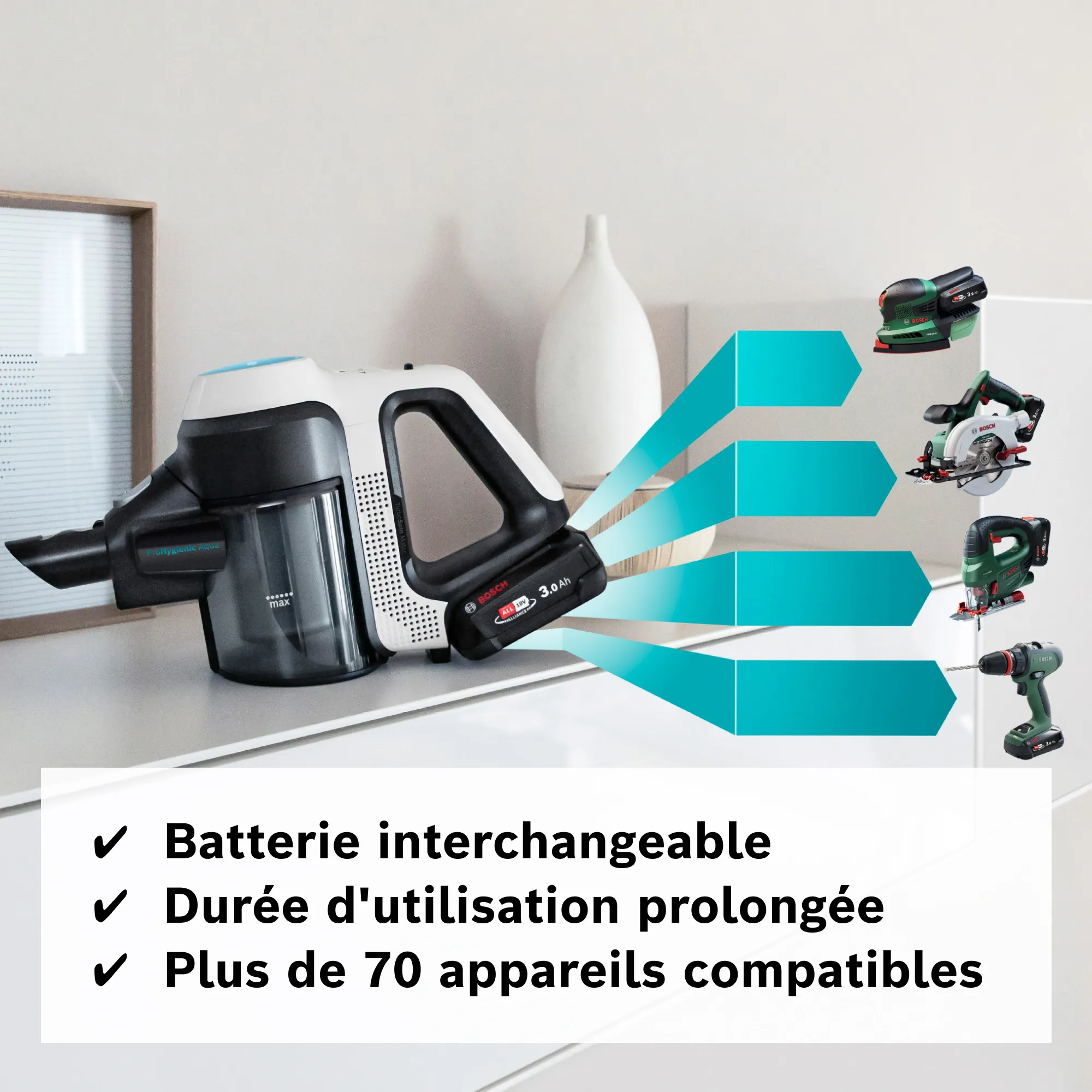 Photo n° 11 du produit BCS71HYG2