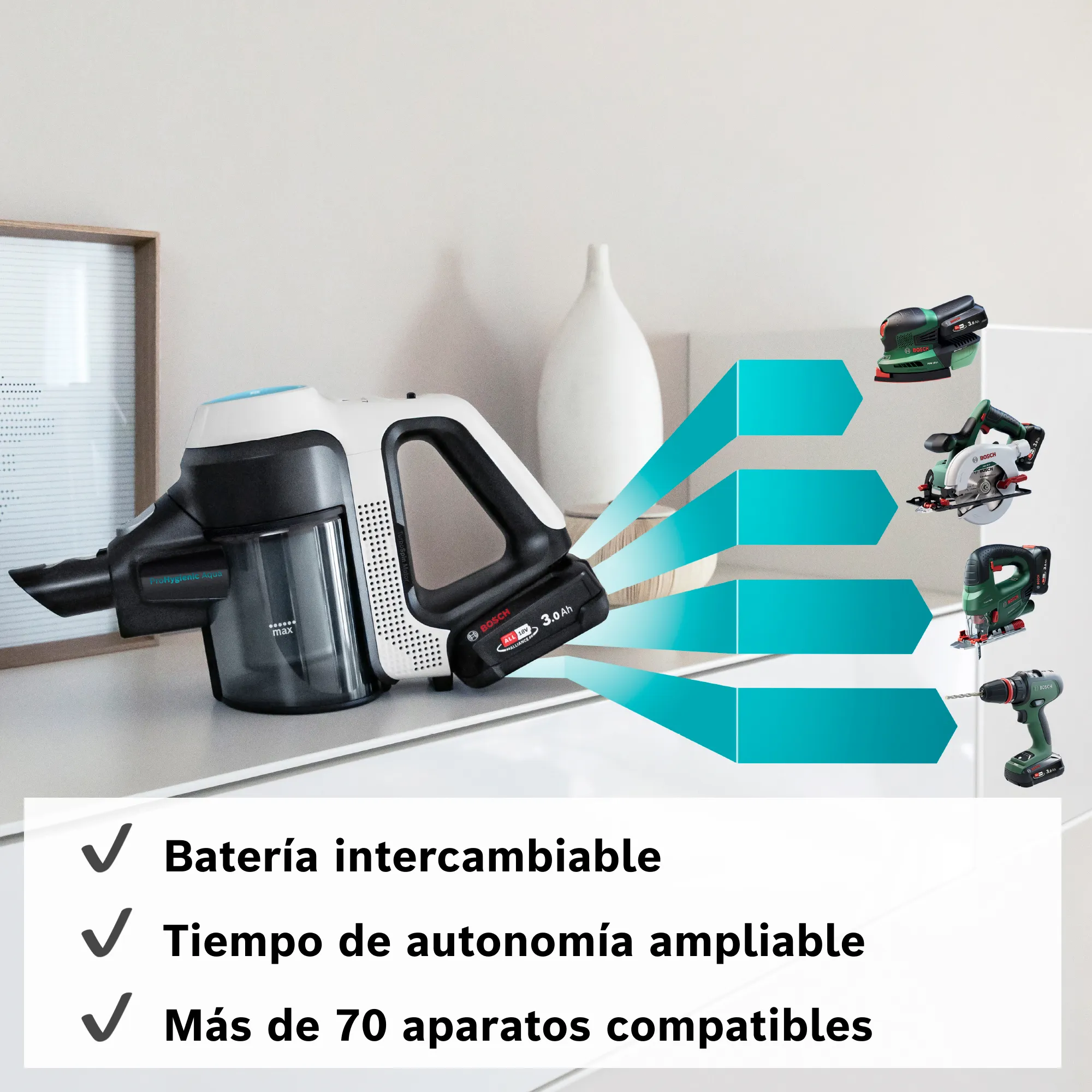 Foto n.º 12 del producto BCS71HYG1