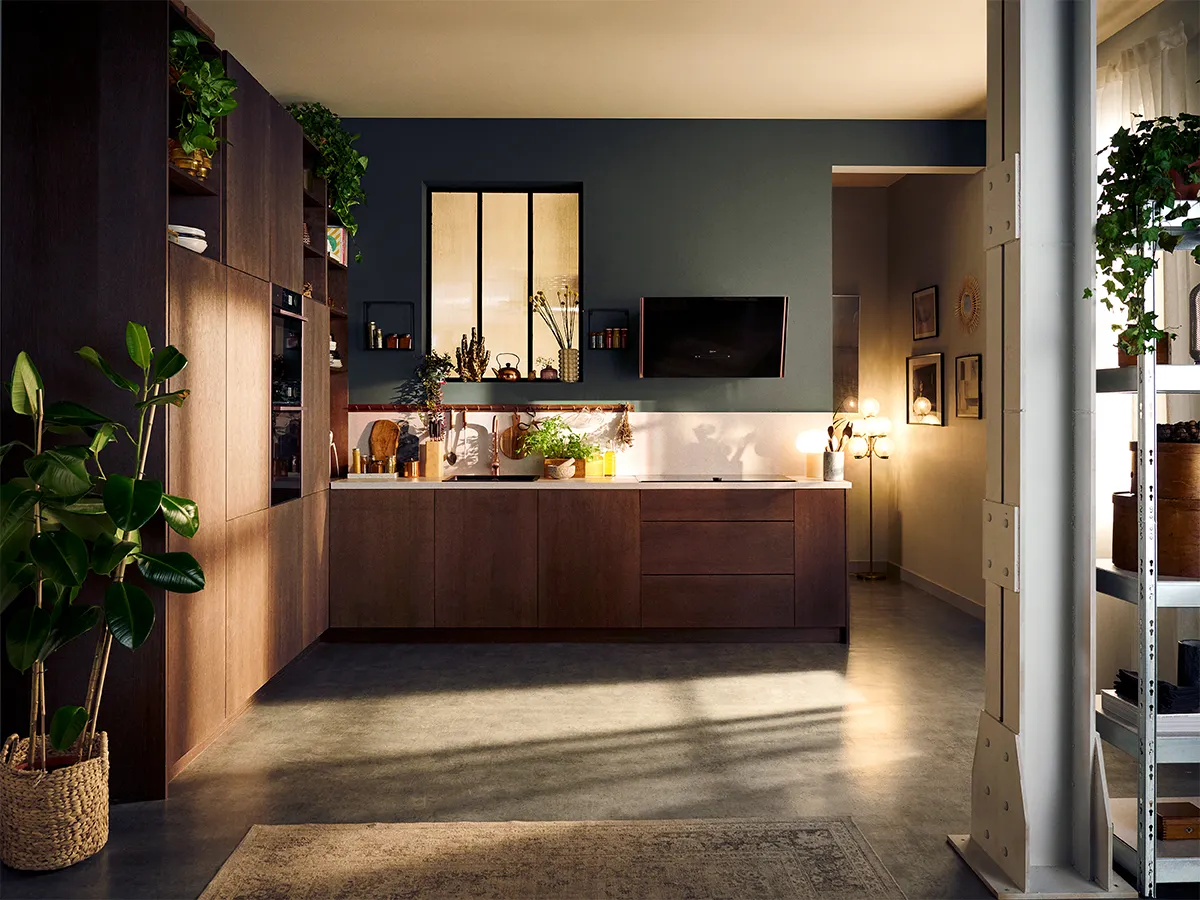 Cozy modern kitchen with dark walls, wooden cabinets, plants, and a TV on the wall.