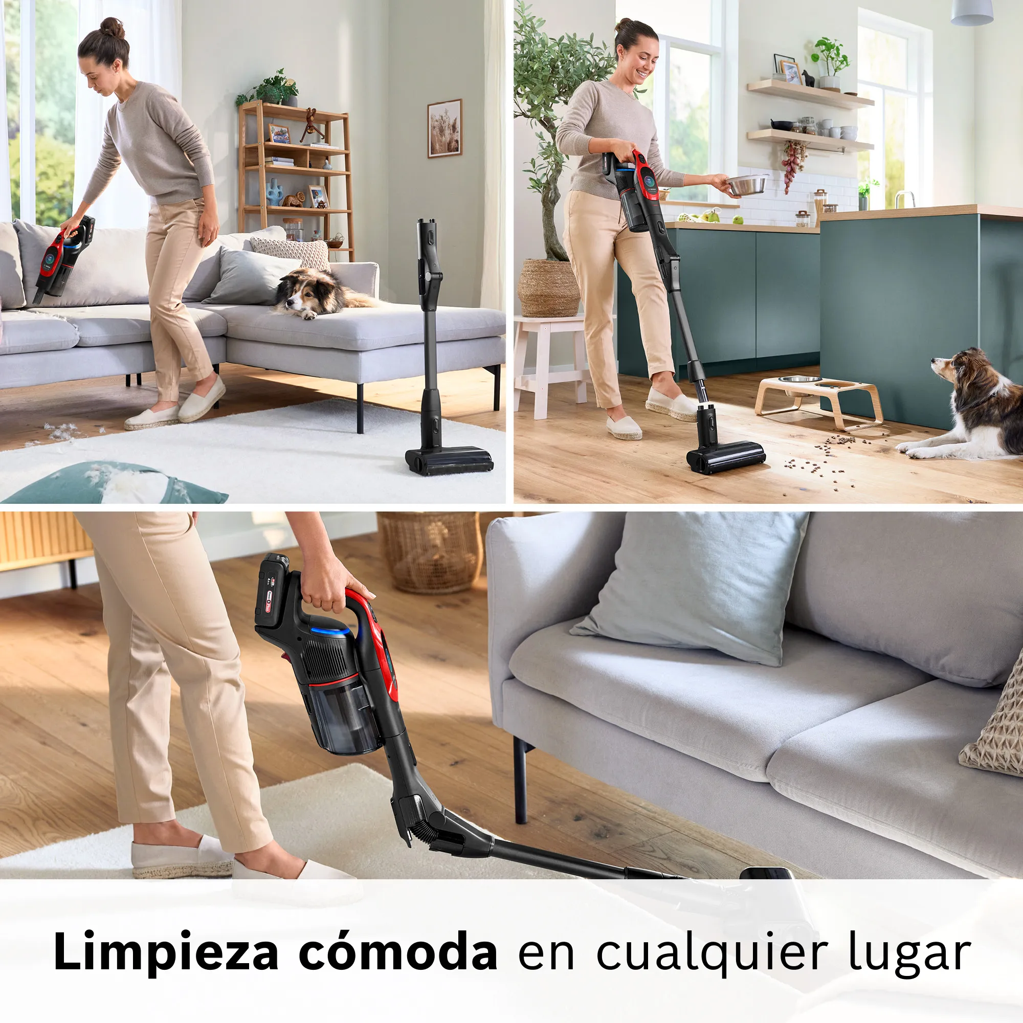 Foto n.º 8 del producto BCS1041PET