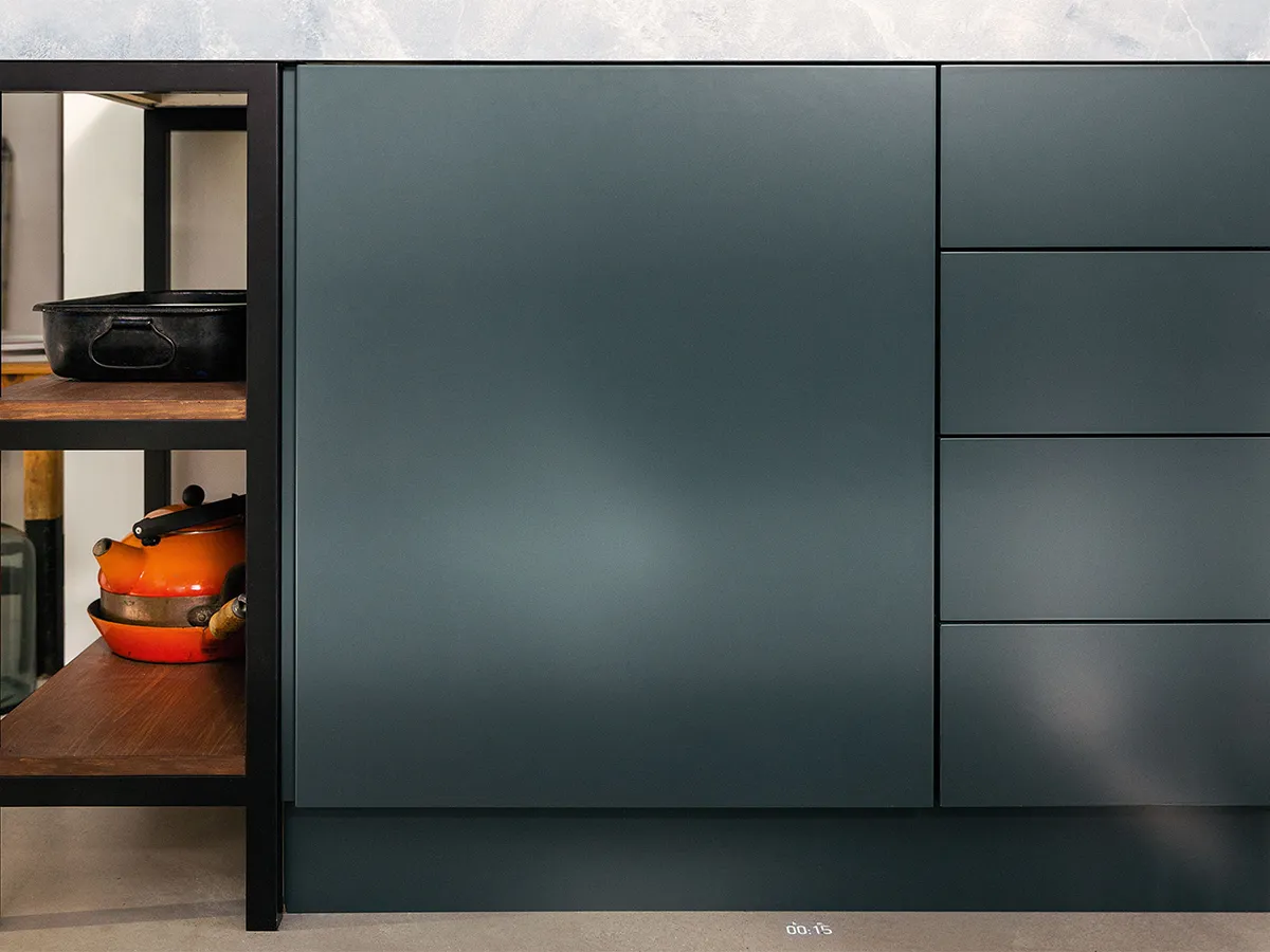 washing appliances installed in kitchen cabinets