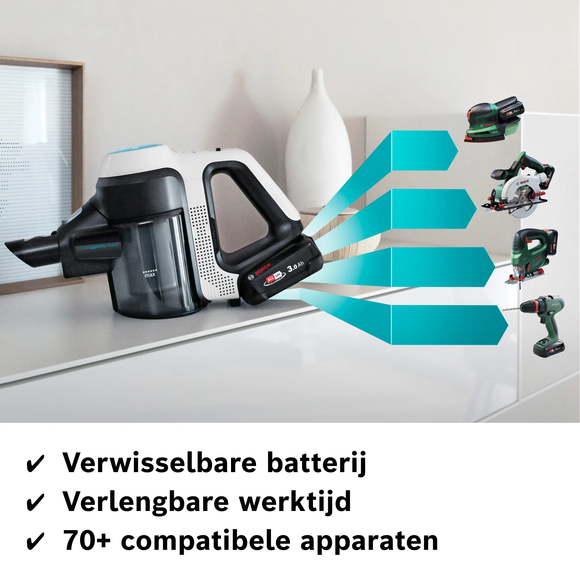 Foto nr. 11 van het product BCS71HYG2
