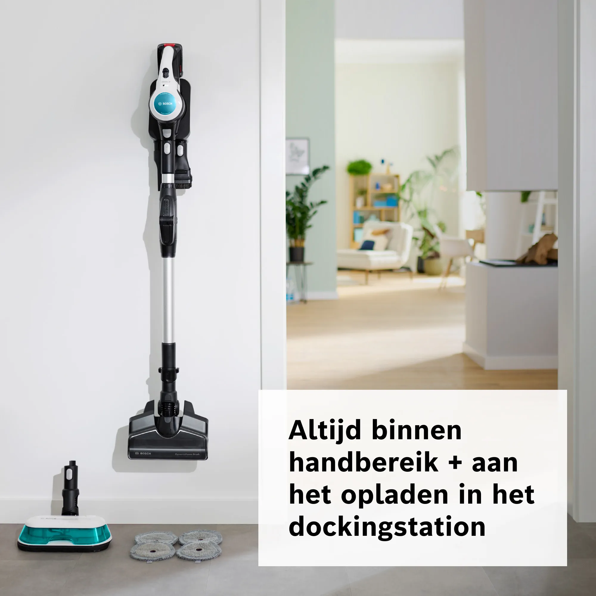 Foto nr. 12 van het product BCS71HYG2