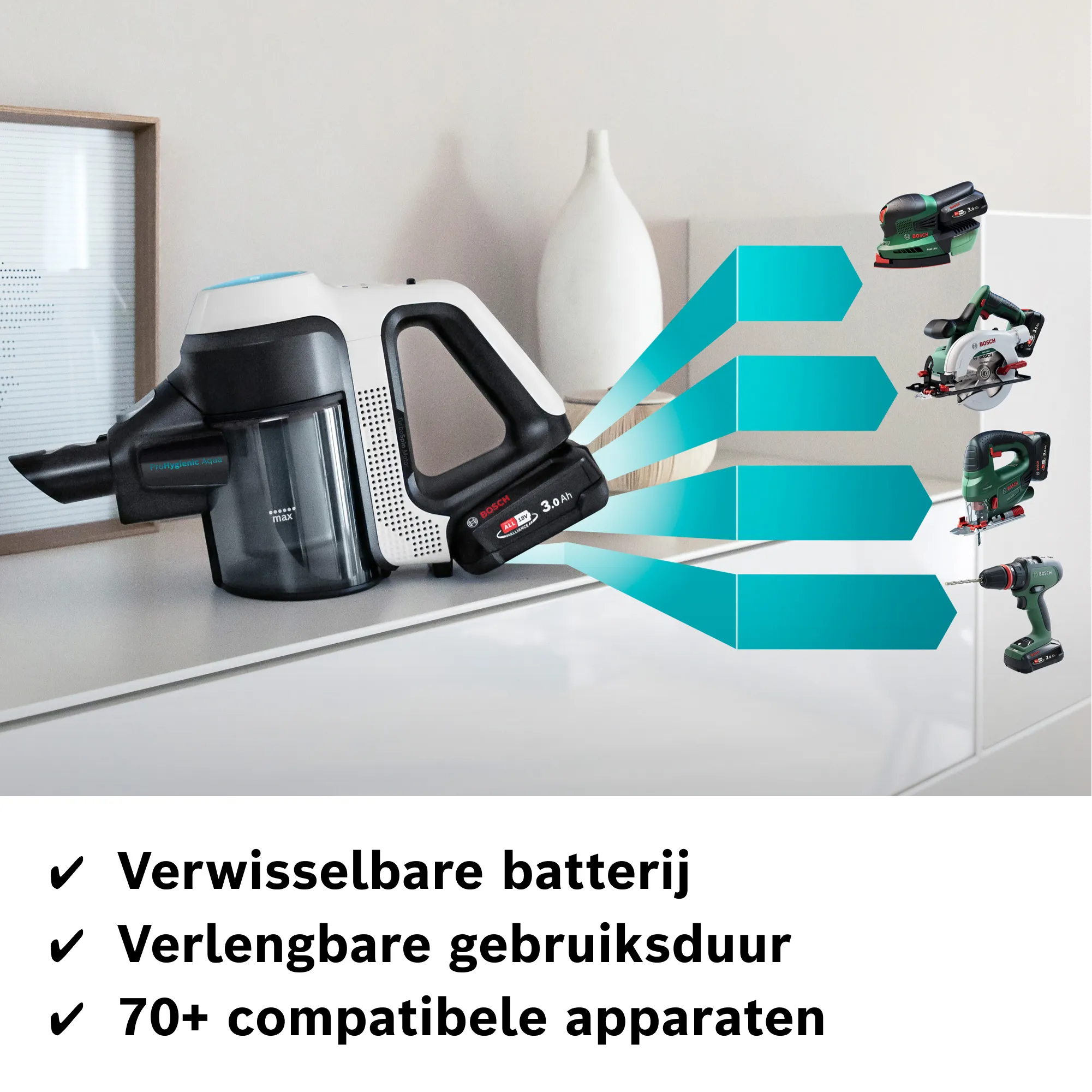 Foto nr. 12 van het product BCS712HYG5