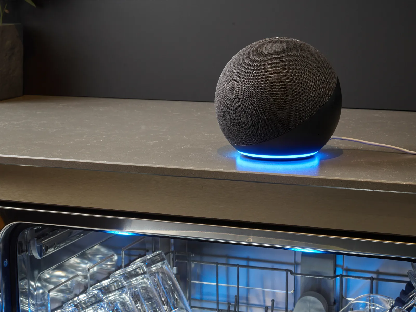 Alexa står på opvaskemaskinen