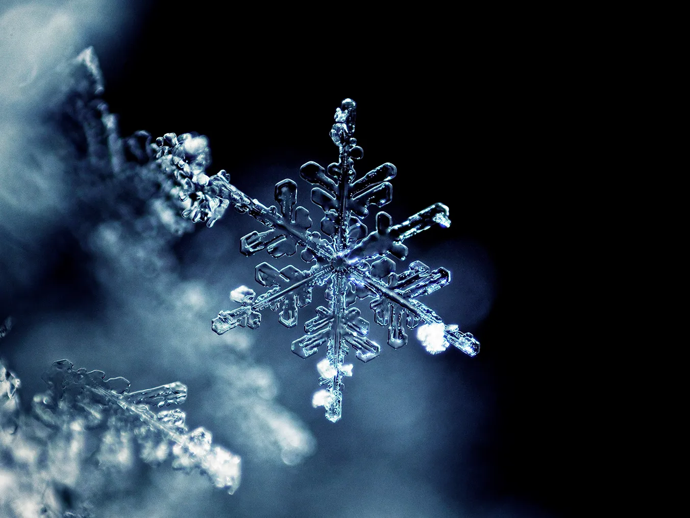 Un primo piano di un delicato fiocco di neve, che mette in risalto intricati schemi di cristalli di ghiaccio contro uno sfondo scuro e sfocato