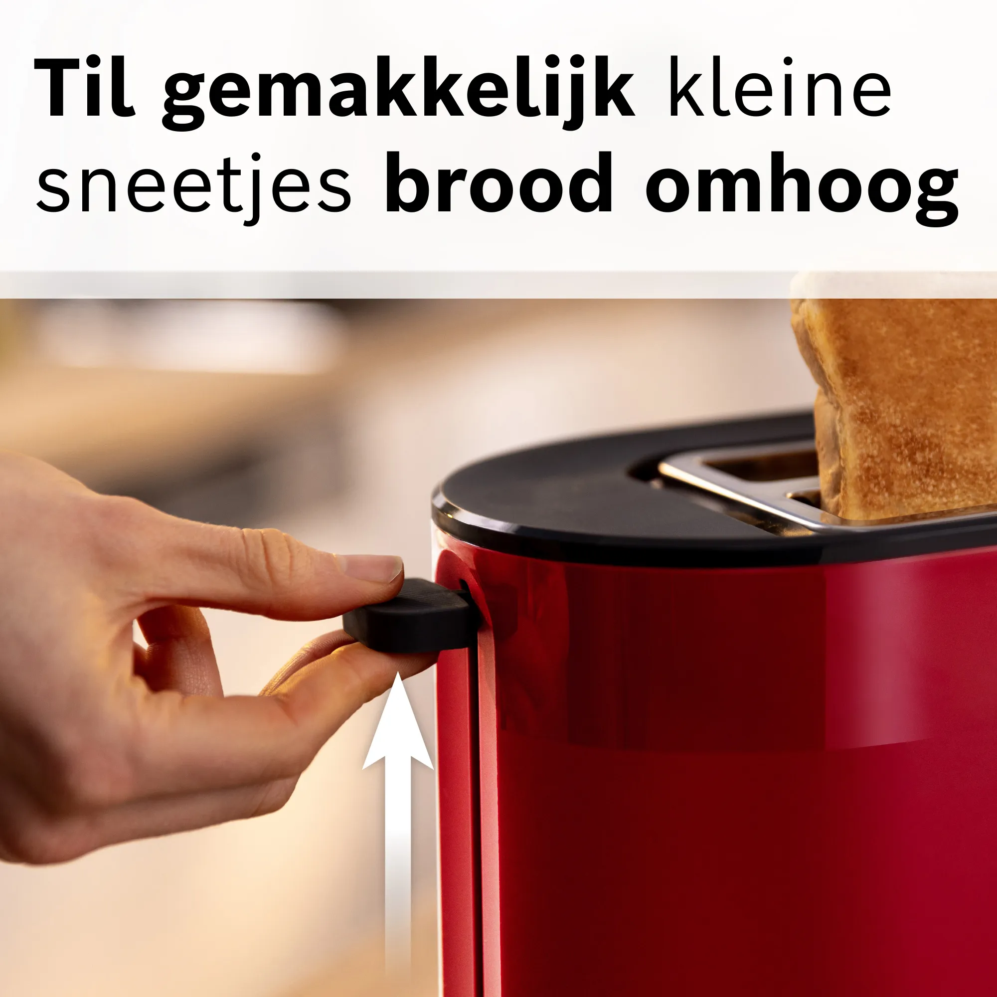 Foto nr. 11 van het product TAT2M124