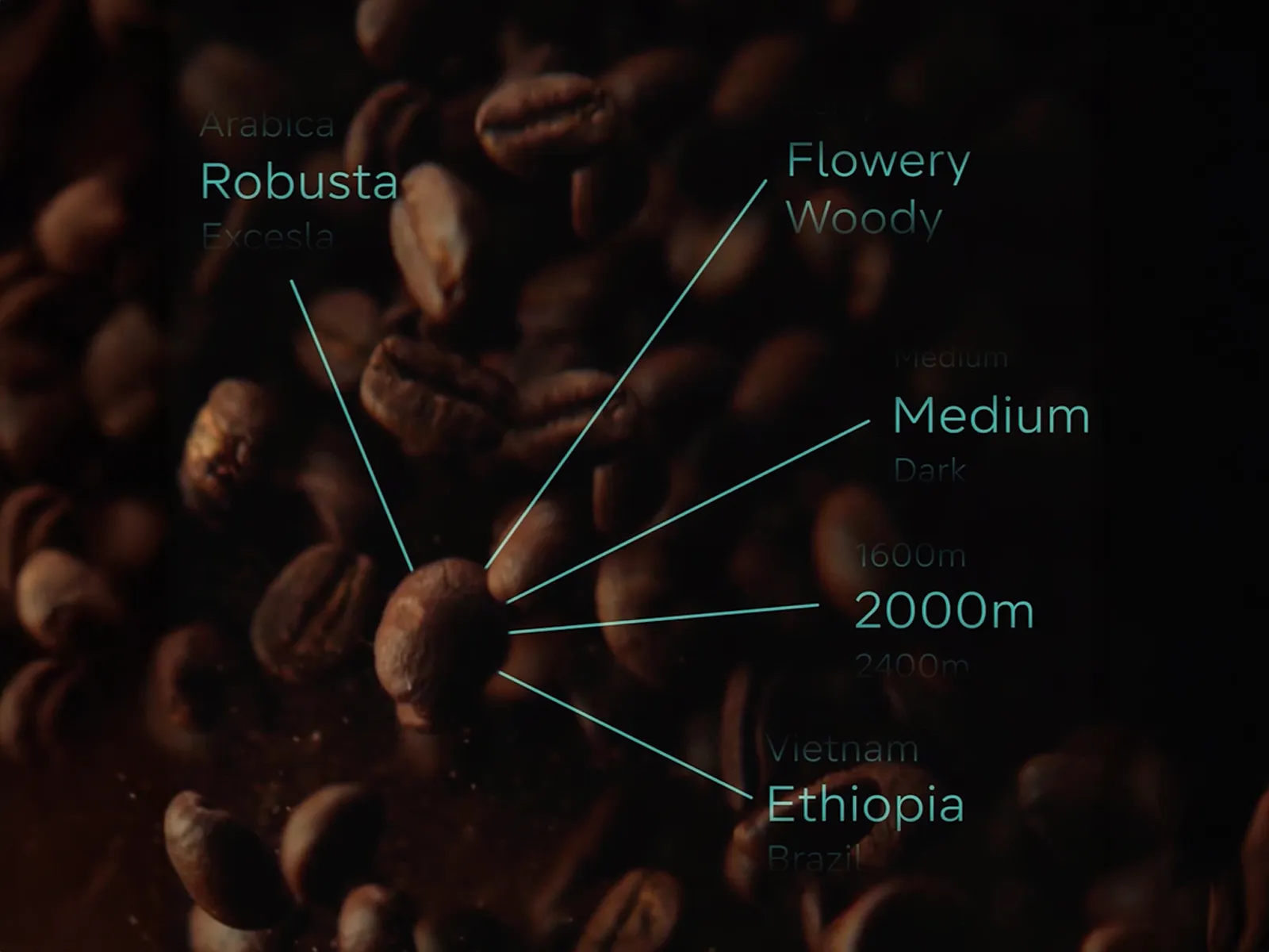 Boabe de cafea prăjite închise la culoare, cu text suprapus despre tipuri de cafea, arome, grade de prăjire, altitudini și origini.