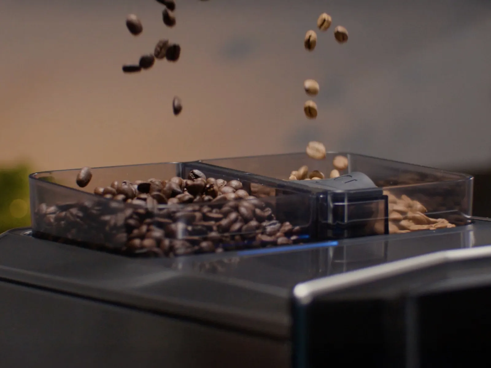 Două tipuri de boabe de cafea, prăjire intensă și prăjire ușoară, cad în cele două recipiente separate pentru boabe ale unui espressor Siemens.