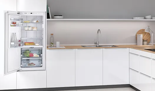 Fridge with open door in modern kitchen