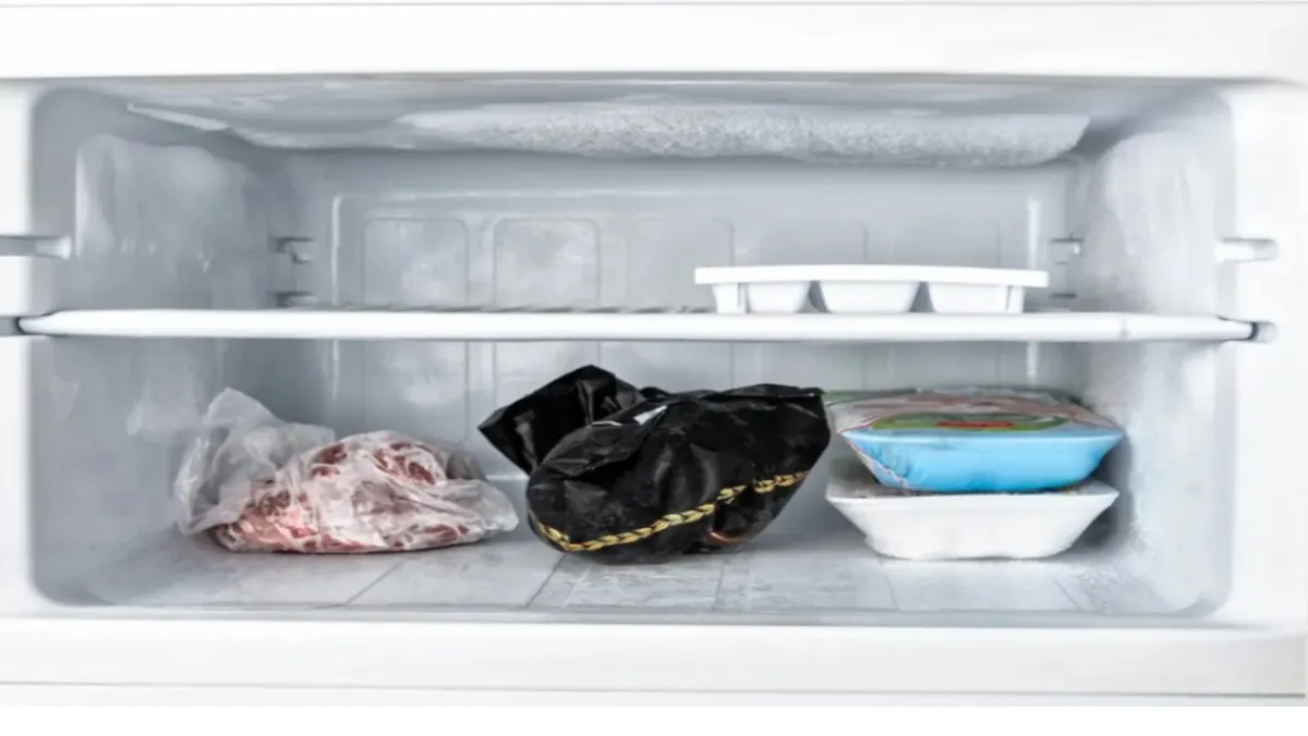 Inside of freezer that doesn't have no frost technology