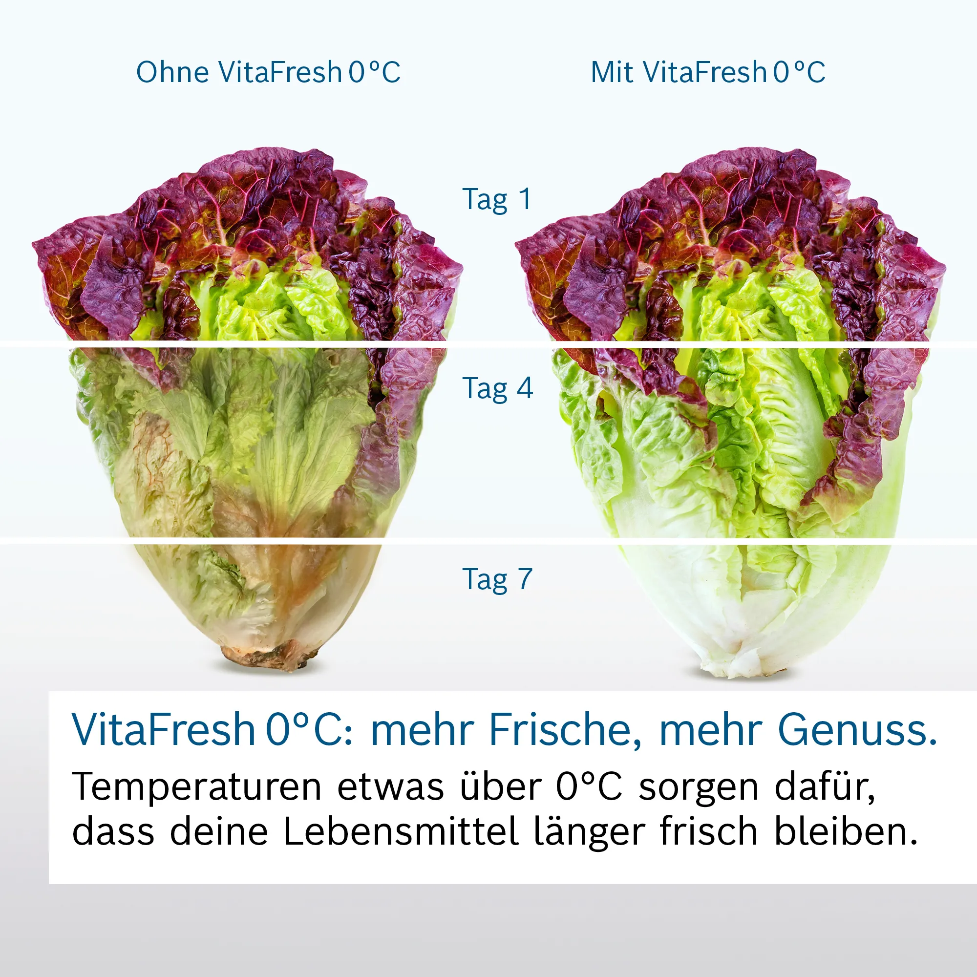 Foto Nr. 9 des Produkts KGN39EIAF