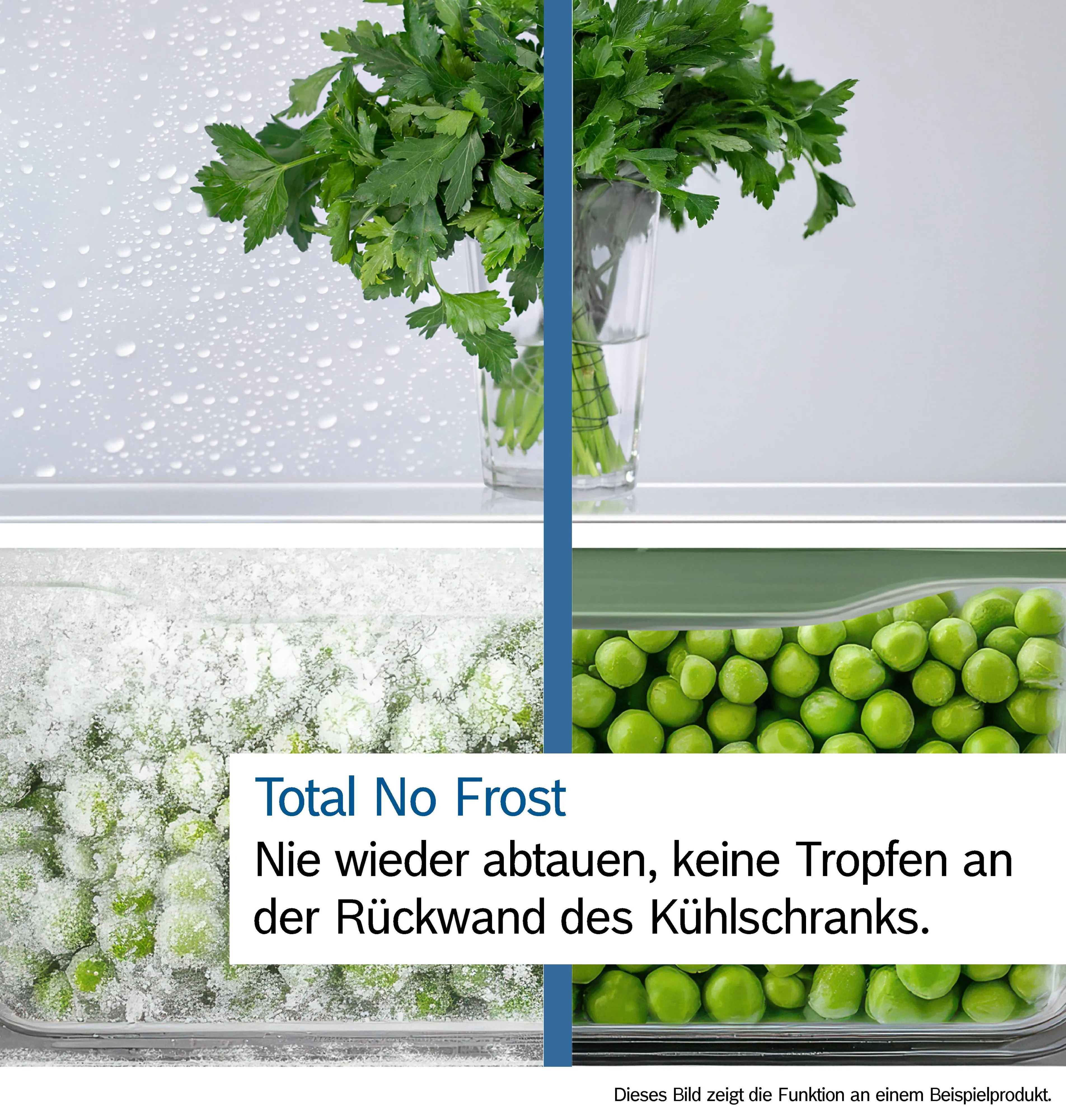 Foto Nr. 13 des Produkts KGN49OCAF