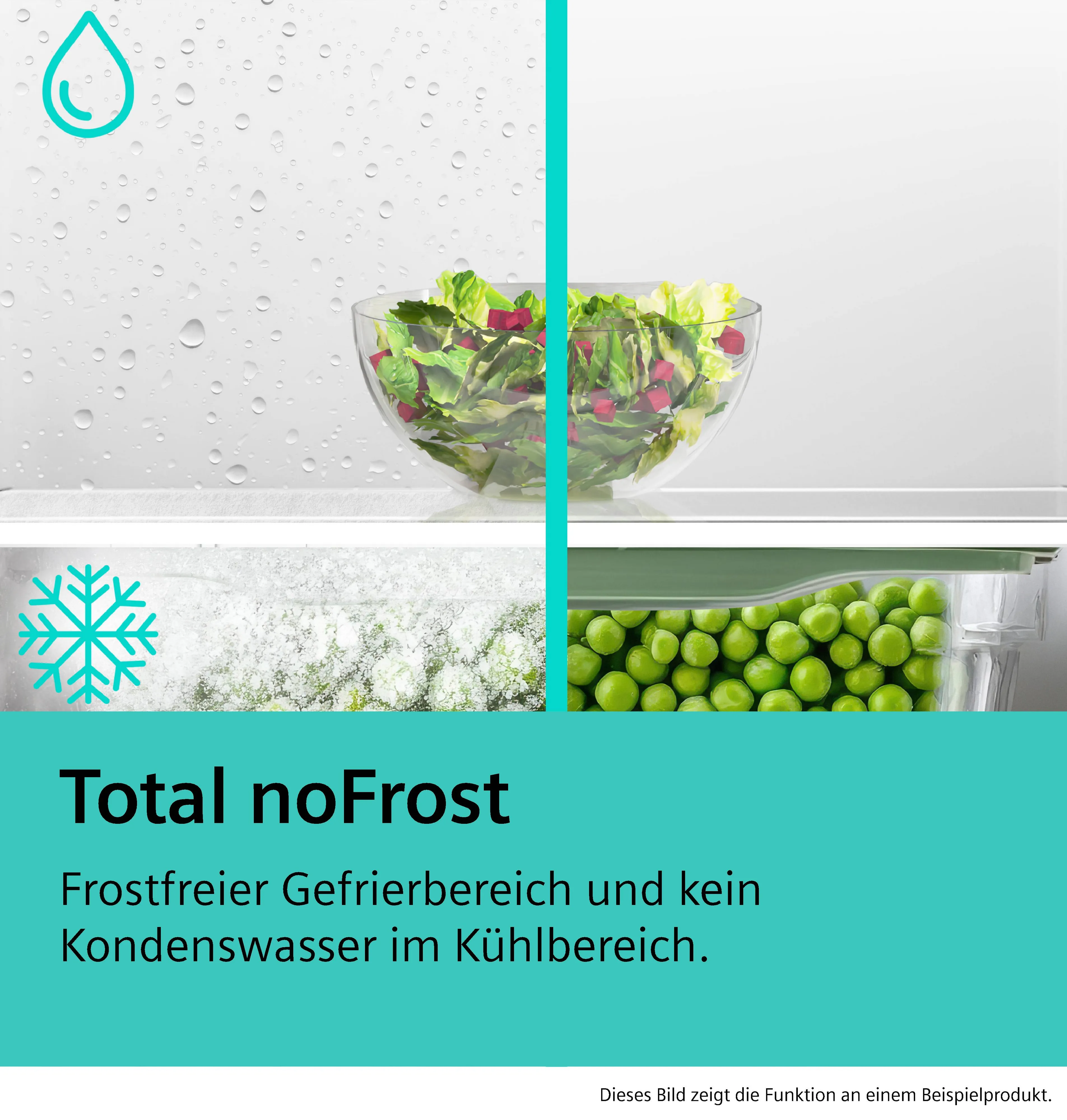 Foto Nr. 13 des Produkts KG39NXXDF