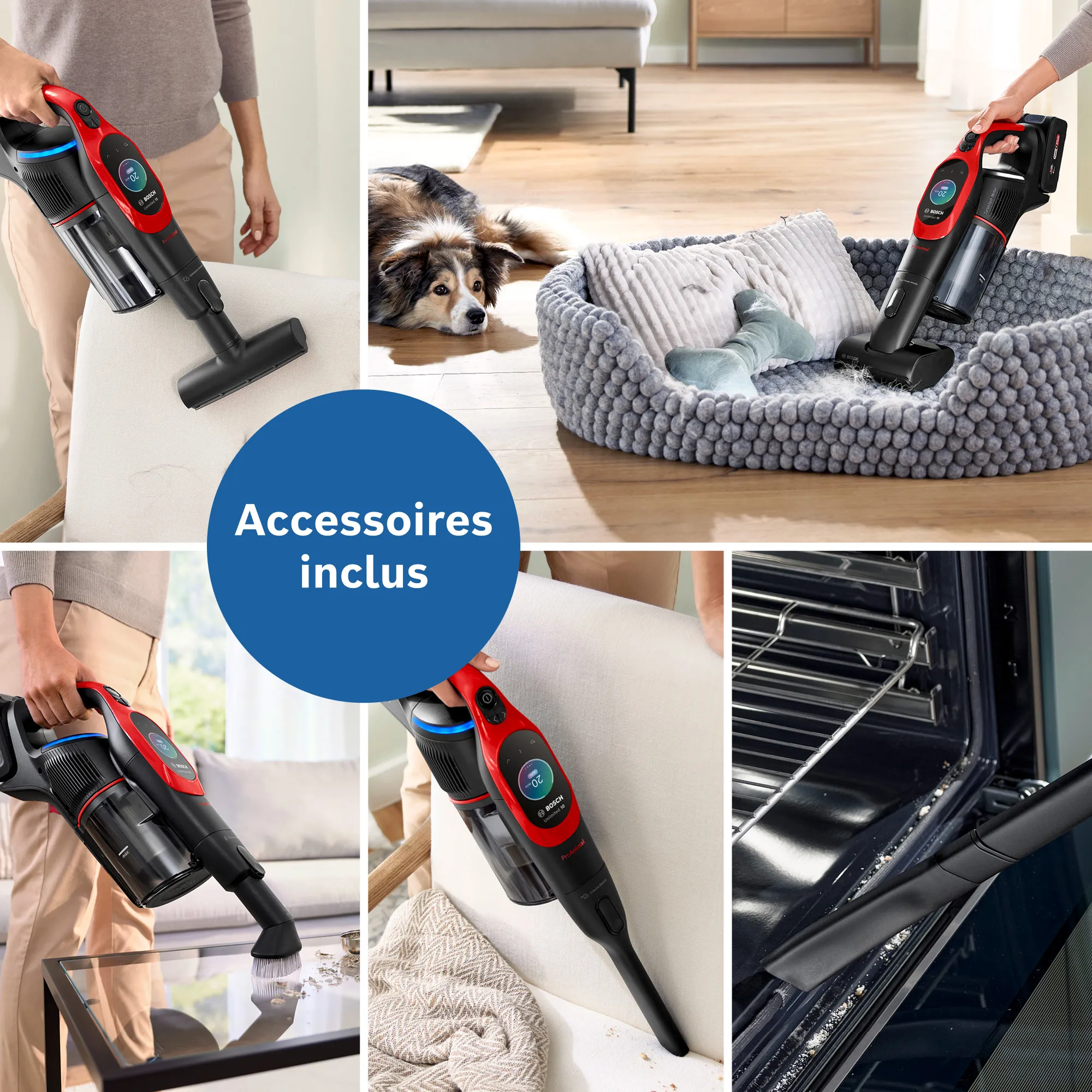 Photo n° 3 du produit BCS1041PET