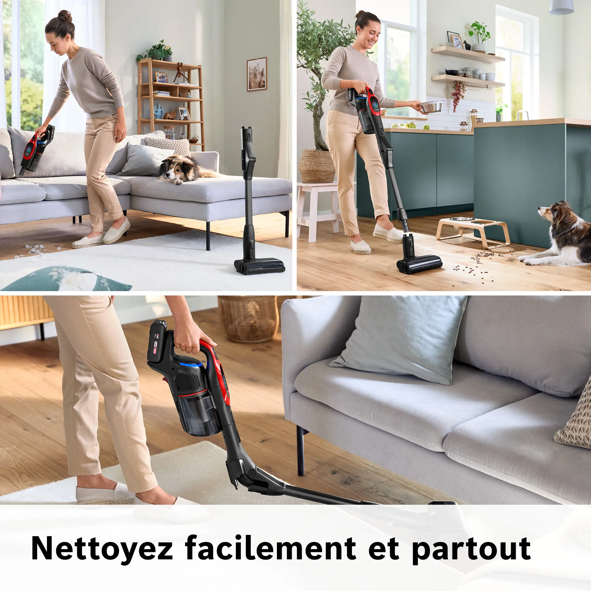 Photo n° 7 du produit BCS1041PET