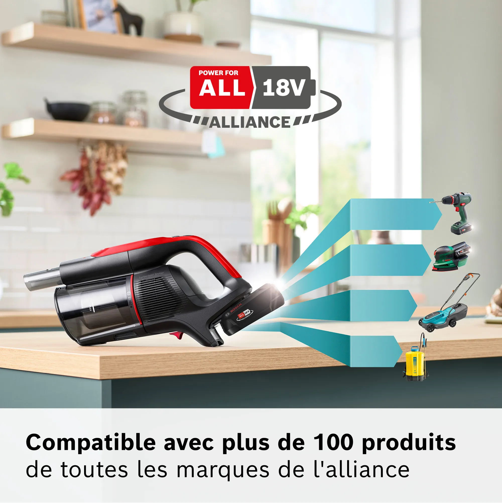 Photo n° 8 du produit BCS1041PET