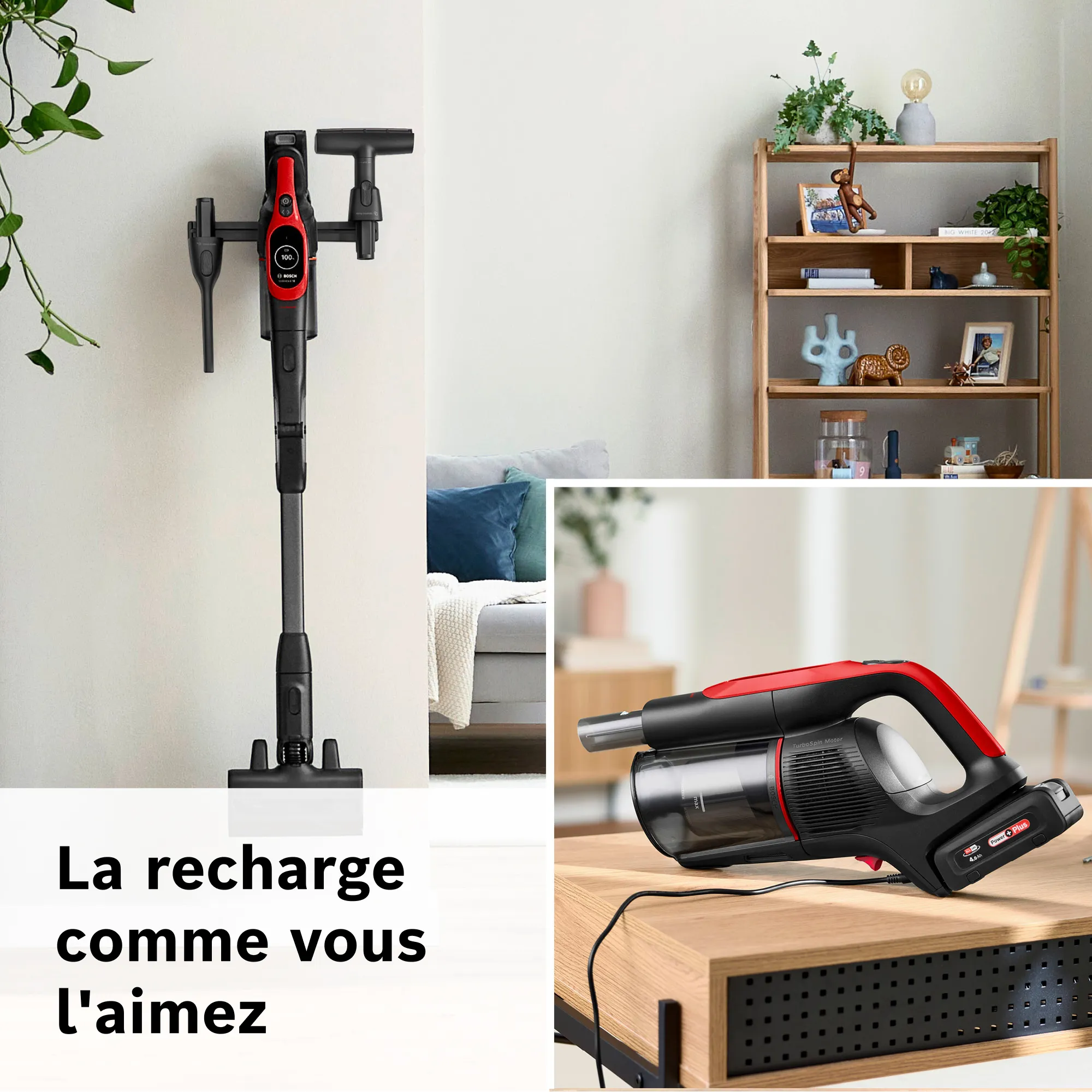Photo n° 9 du produit BCS1041PET