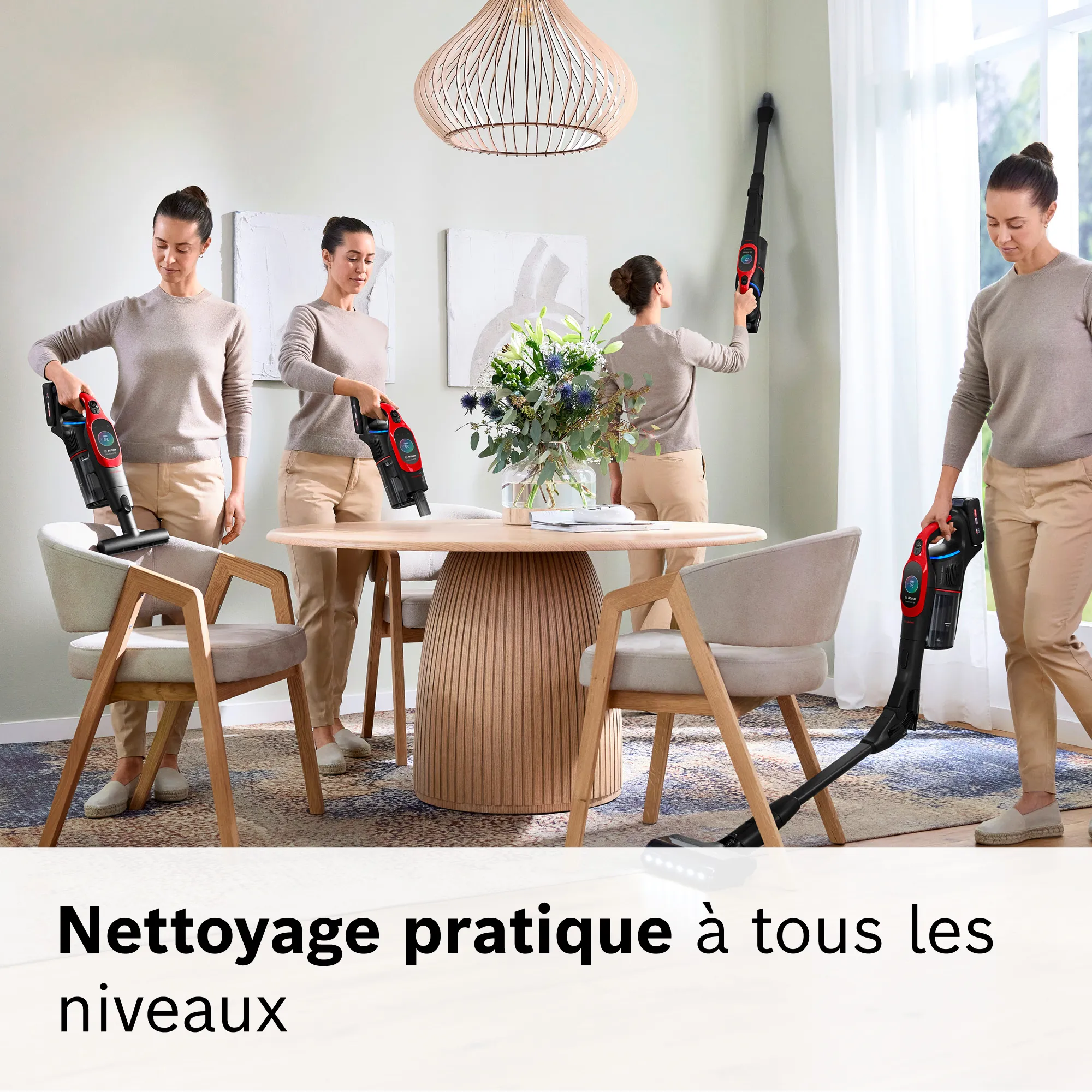Photo n° 10 du produit BCS1041PET
