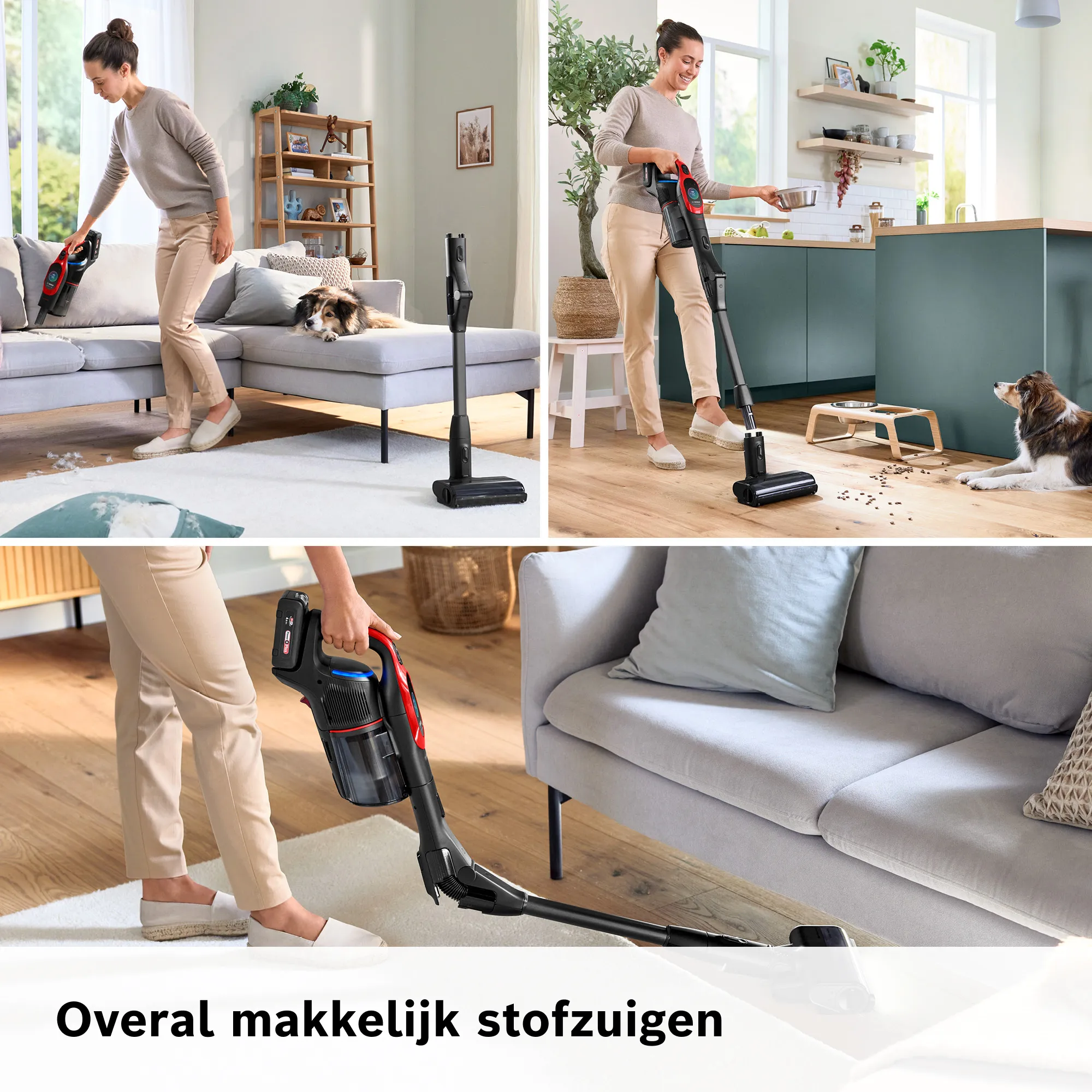 Foto nr. 7 van het product BCS1041PET