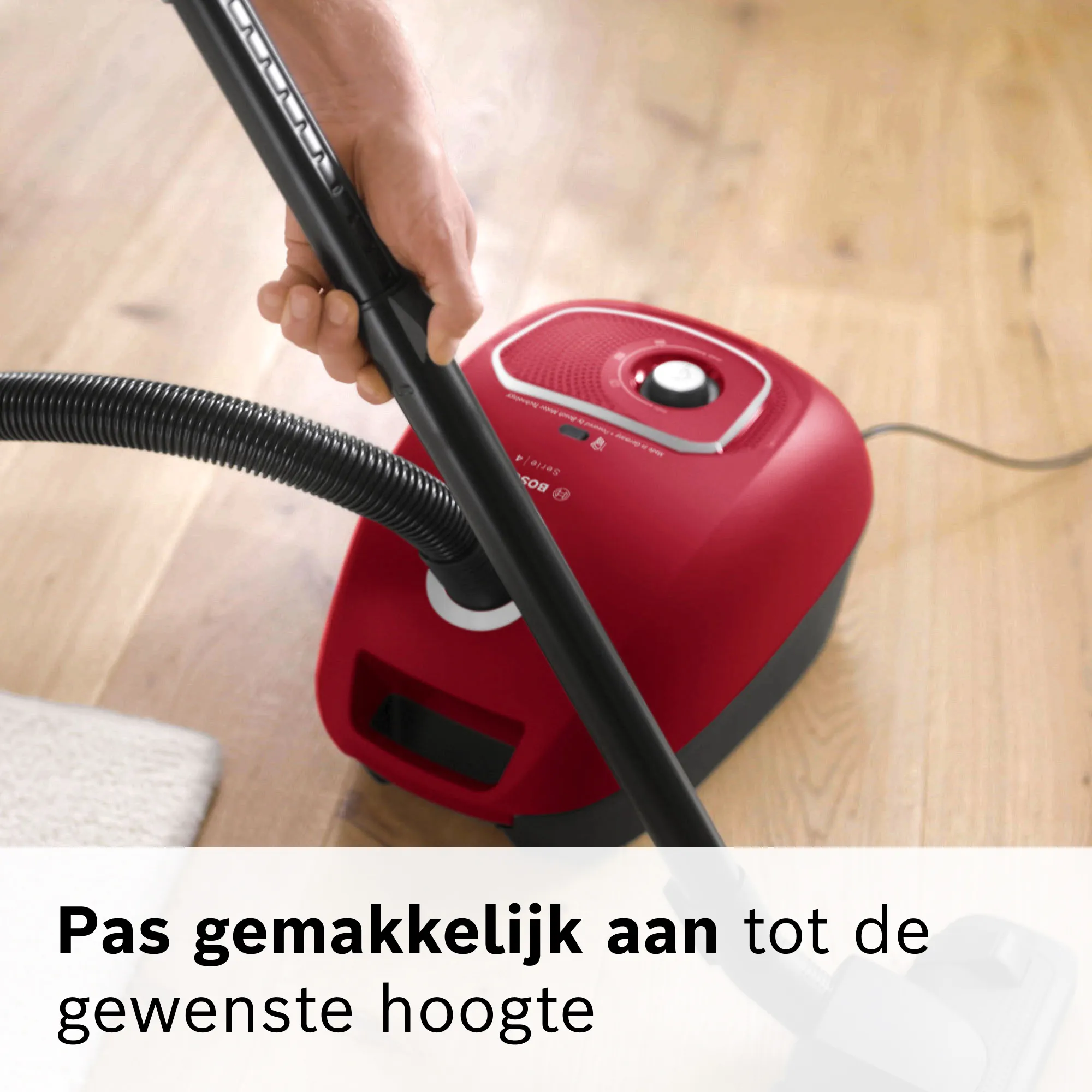 Foto nr. 12 van het product BGB41RD3H