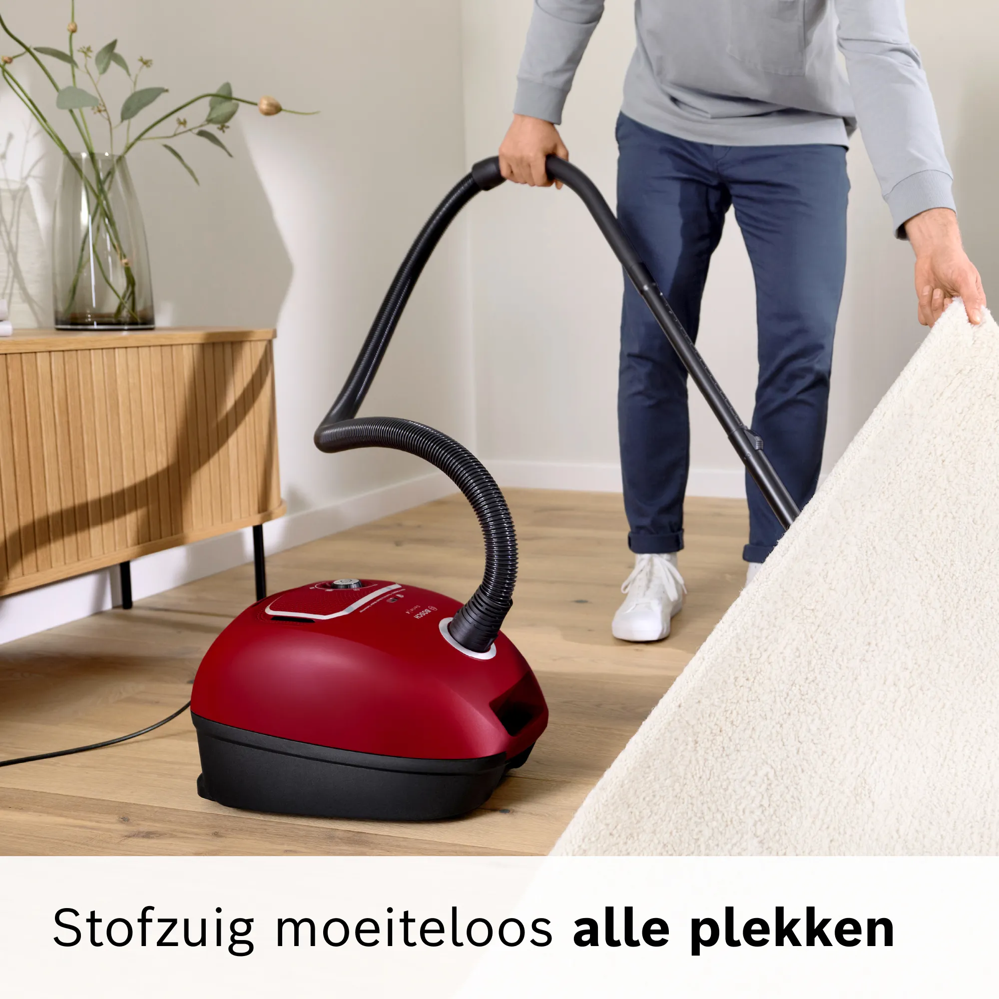 Foto nr. 16 van het product BGB41RD3H