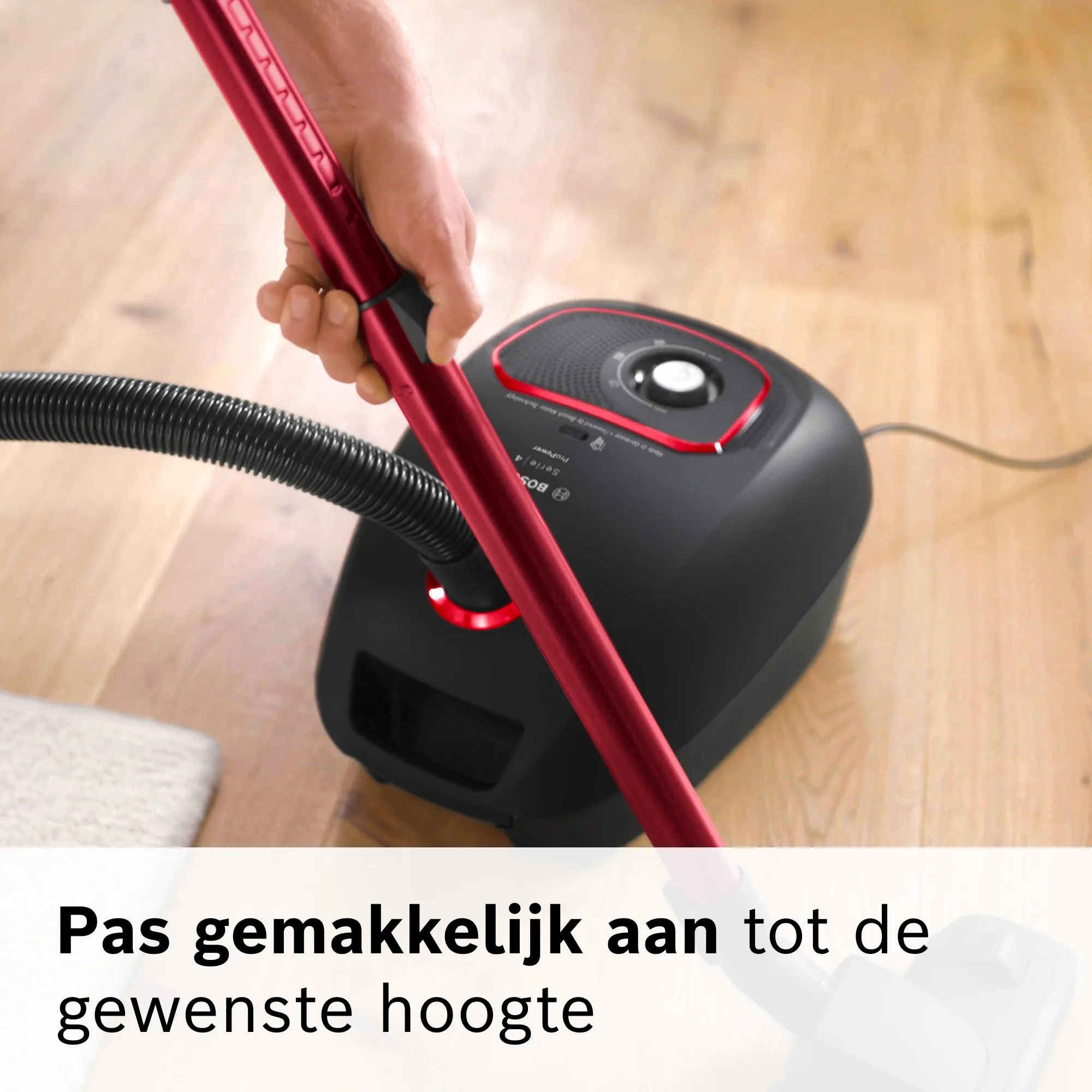 Foto nr. 13 van het product BGL41POW2H