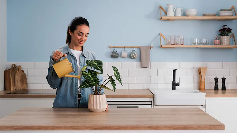 alt-Smiling woman watering a potted plant in a bright, modern kitchen with wooden countertops and open shelves.