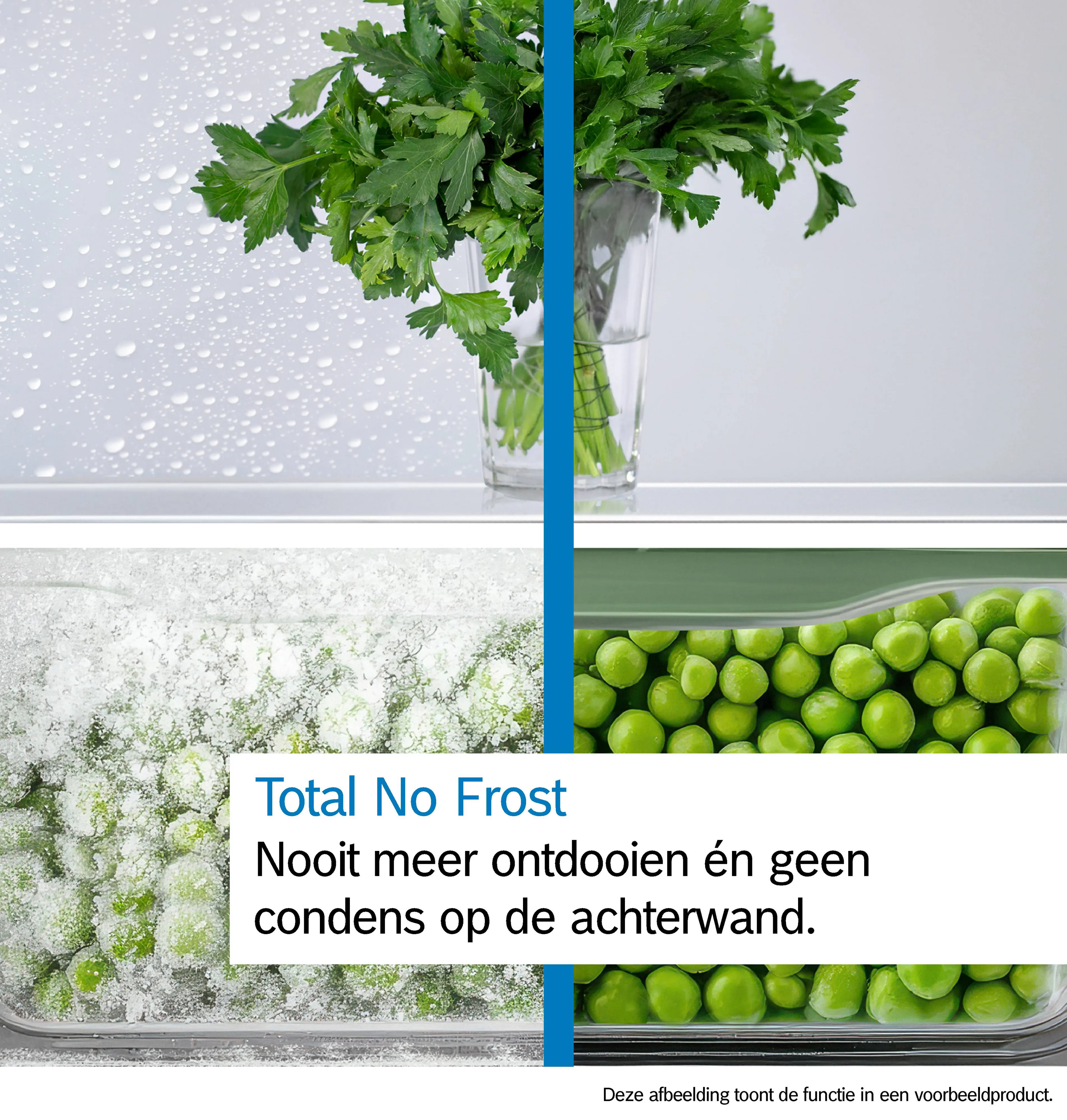 Foto nr. 13 van het product KGN49VICT