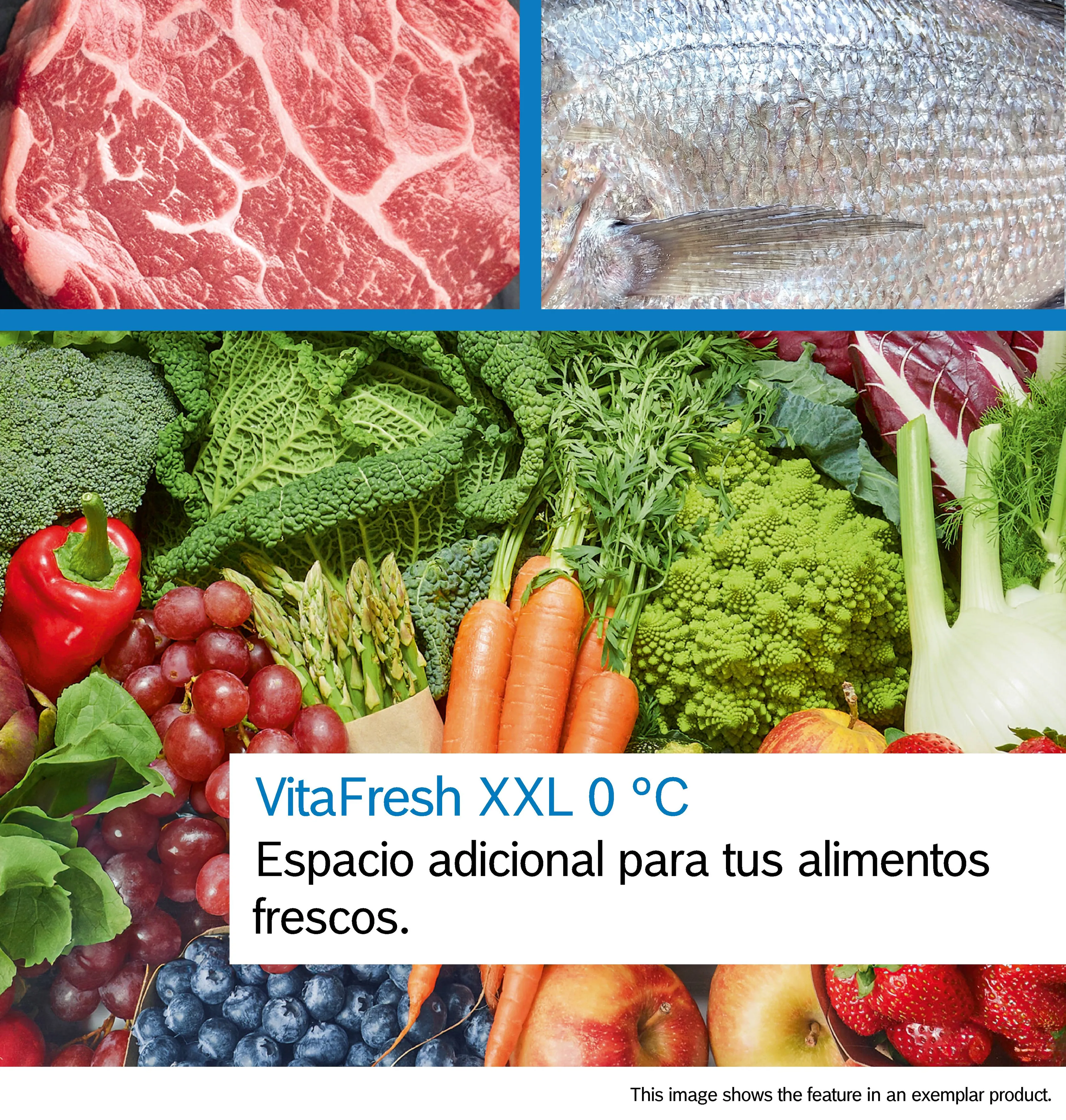 Foto número 2 del producto KIN86ADD0