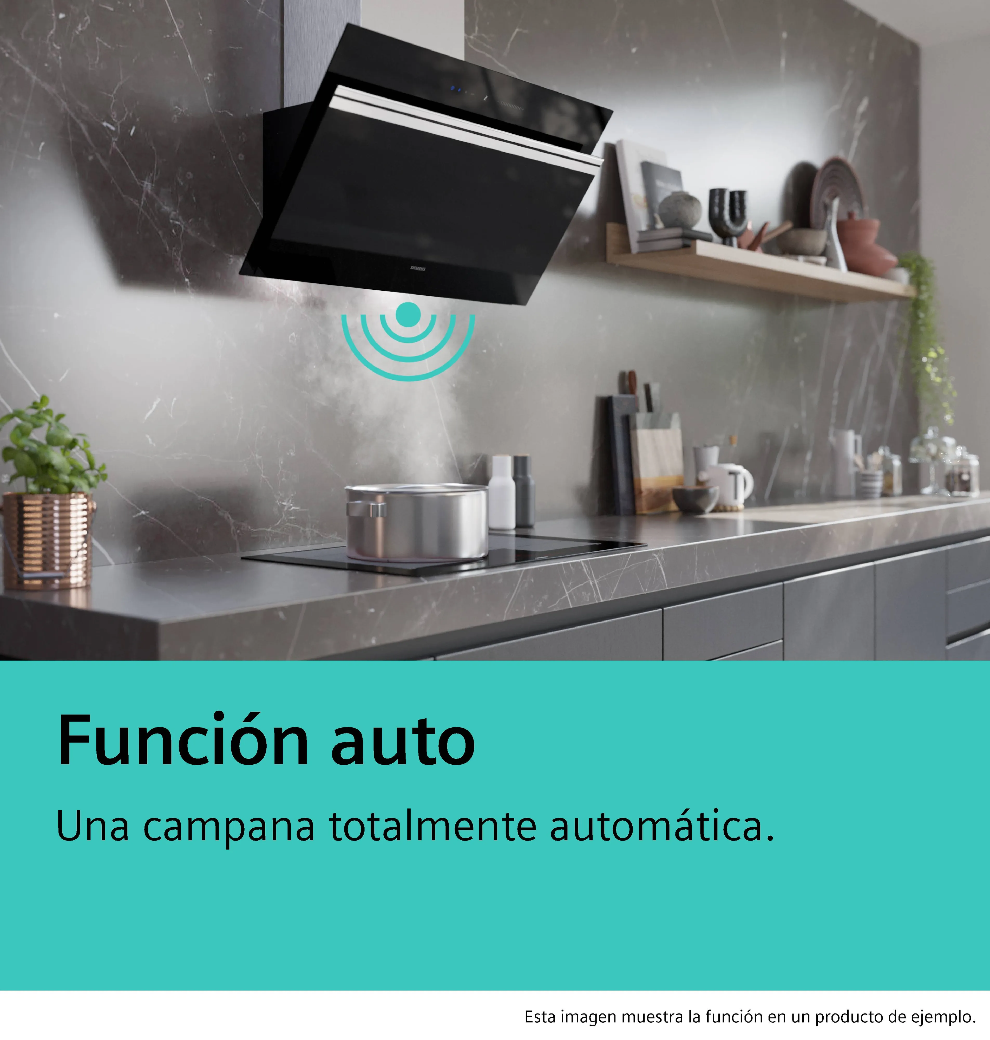 Foto n.º 8 del producto LF21BA582