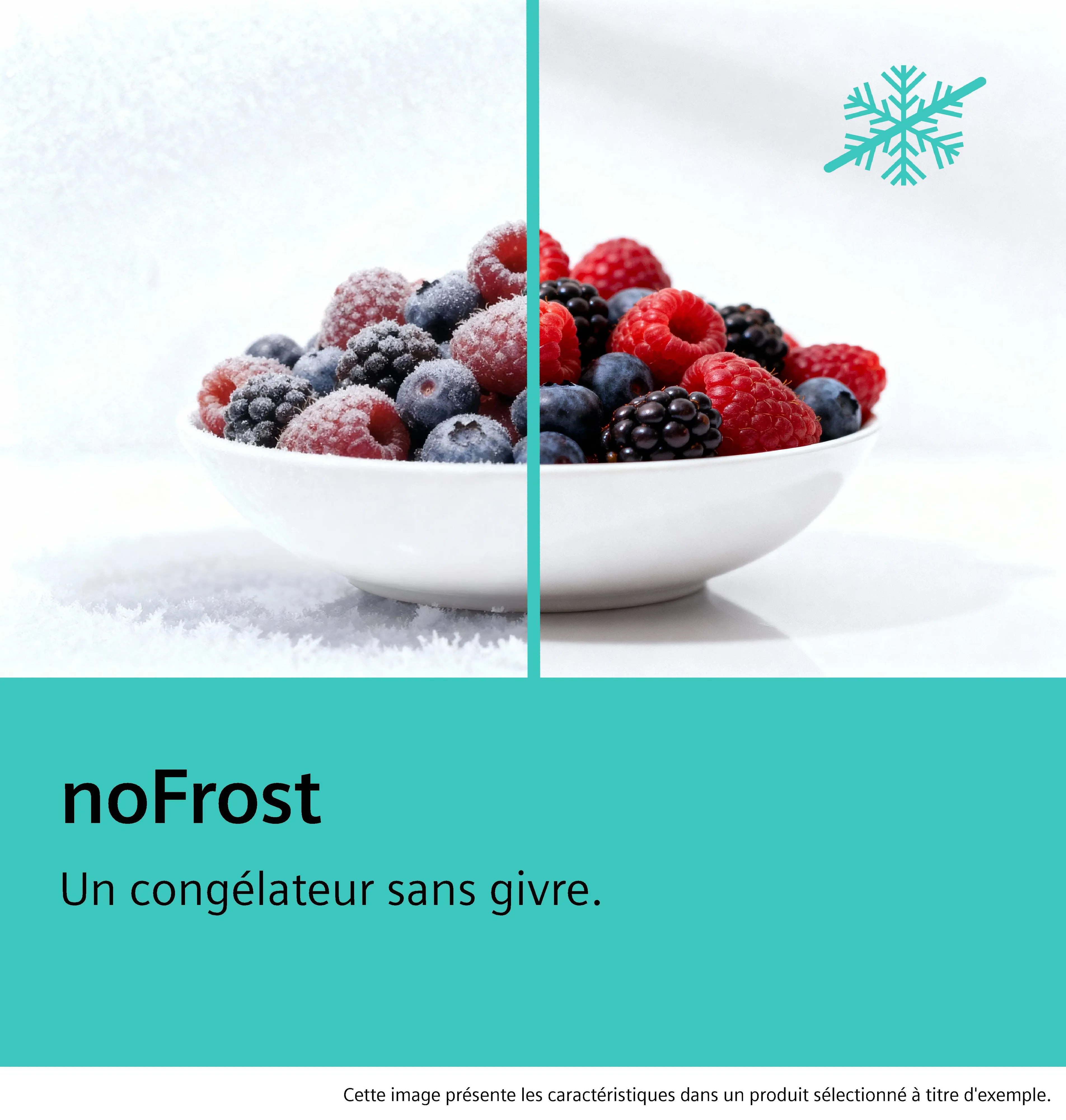 Photo Nr. 12 du produit GS54NAWCV