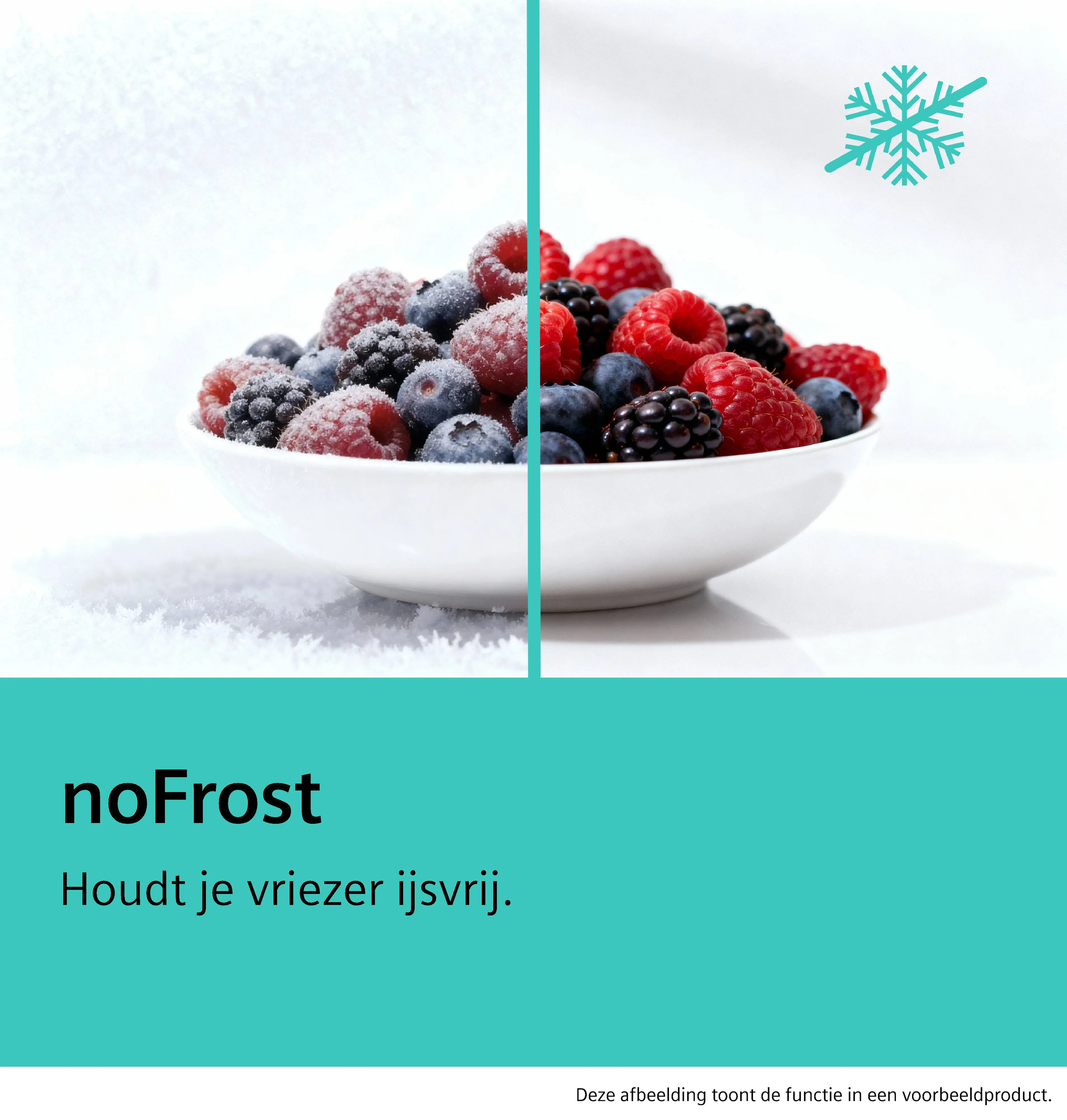 Foto nr. 12 van het product GS36NAIDP