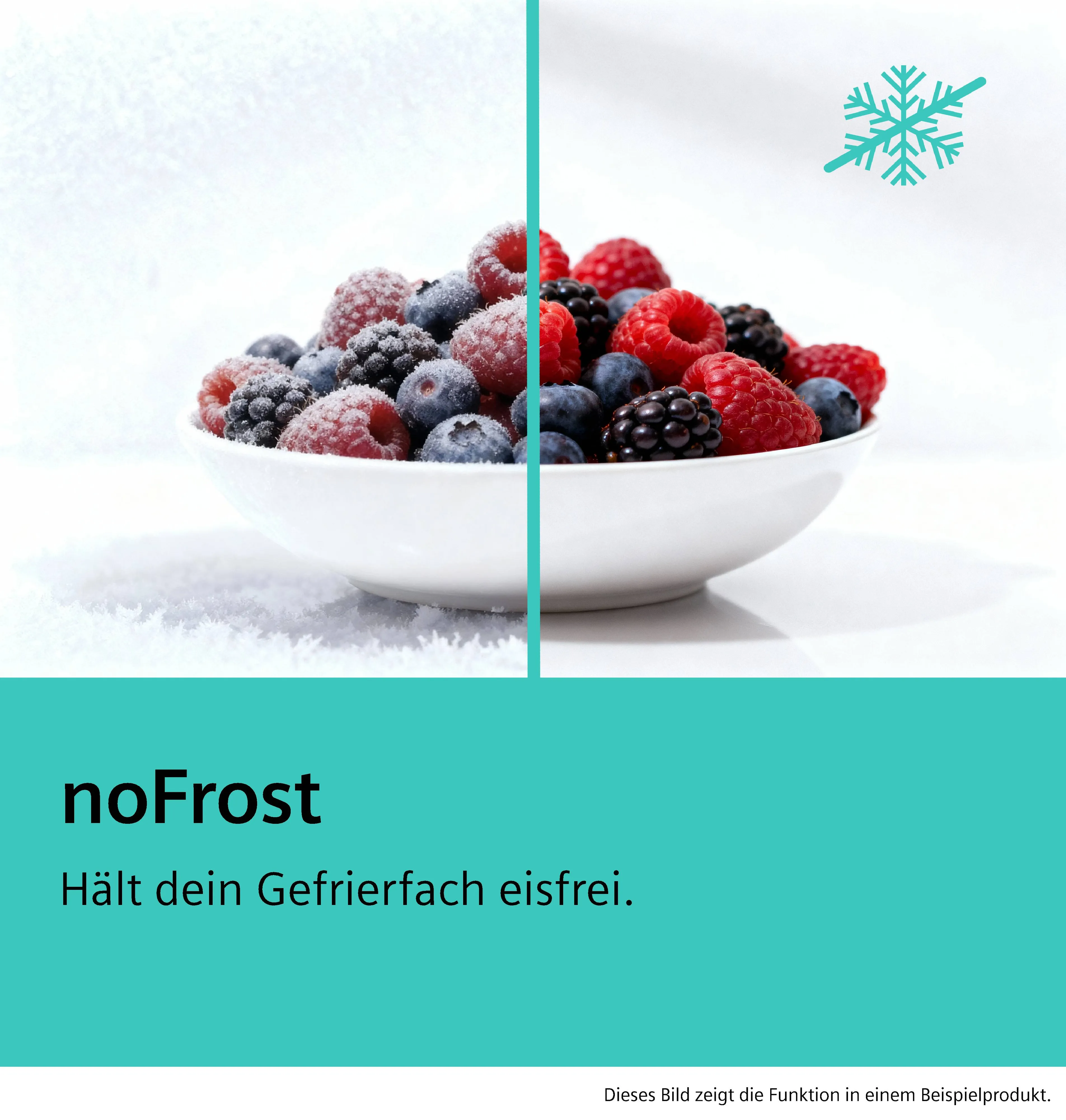 Foto Nr. 11 des Produkts GS58NAWCV