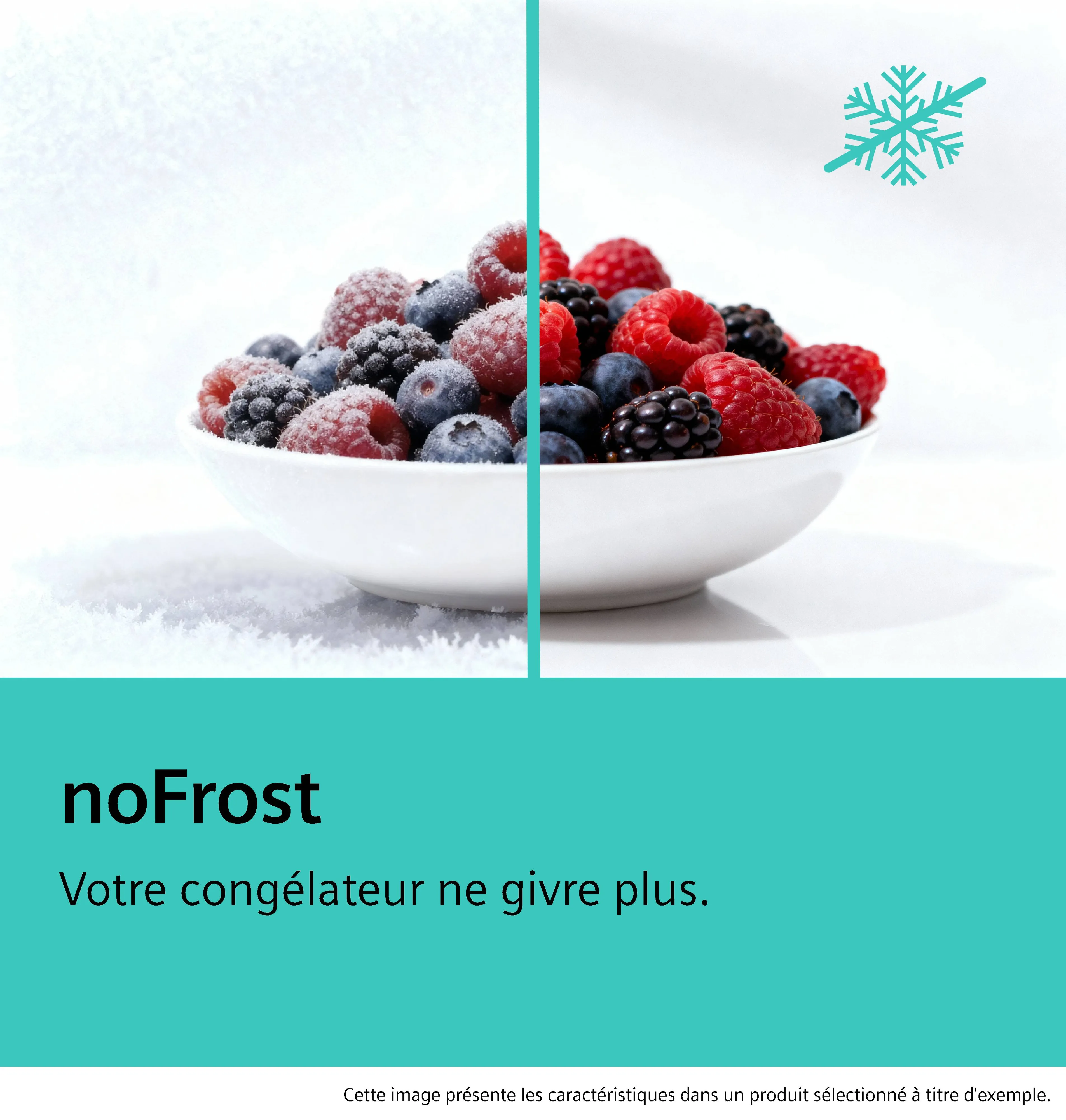 Photo n° 12 du produit GS54NUWDV