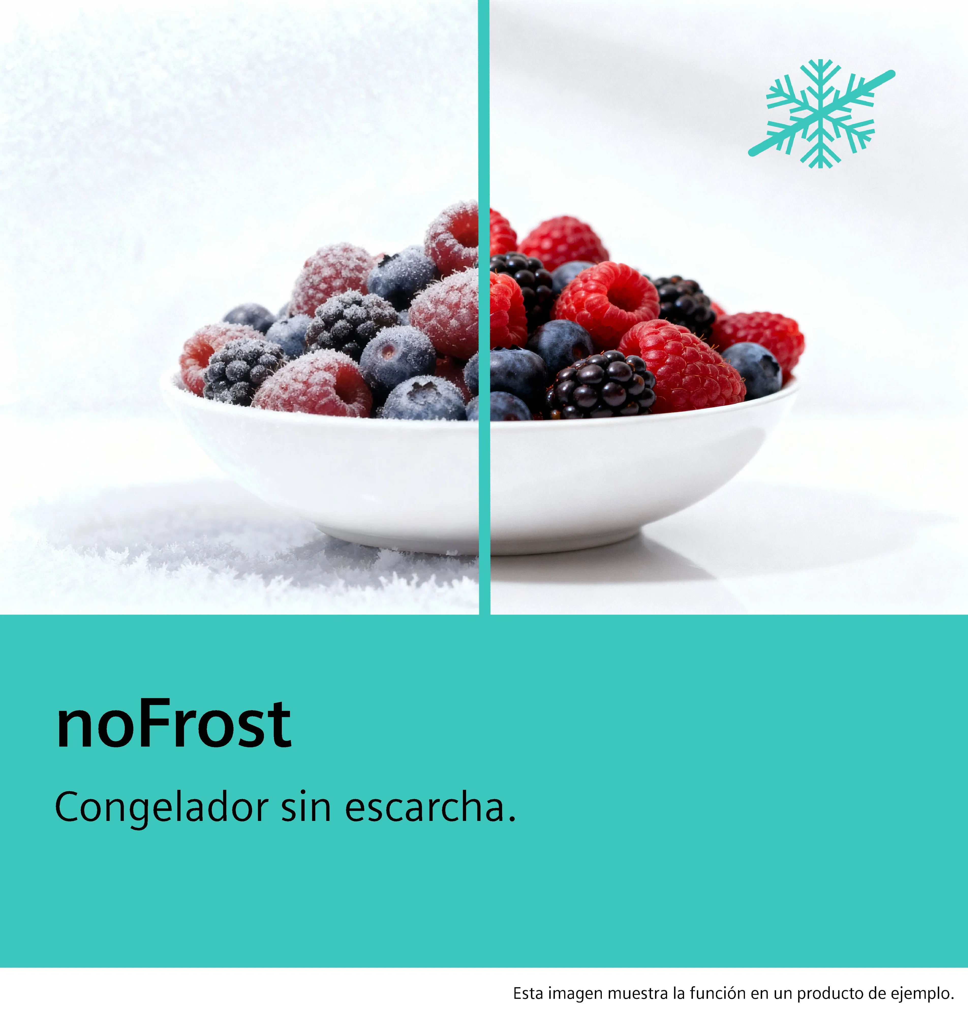 Foto n.º 12 del producto KG39NAI40