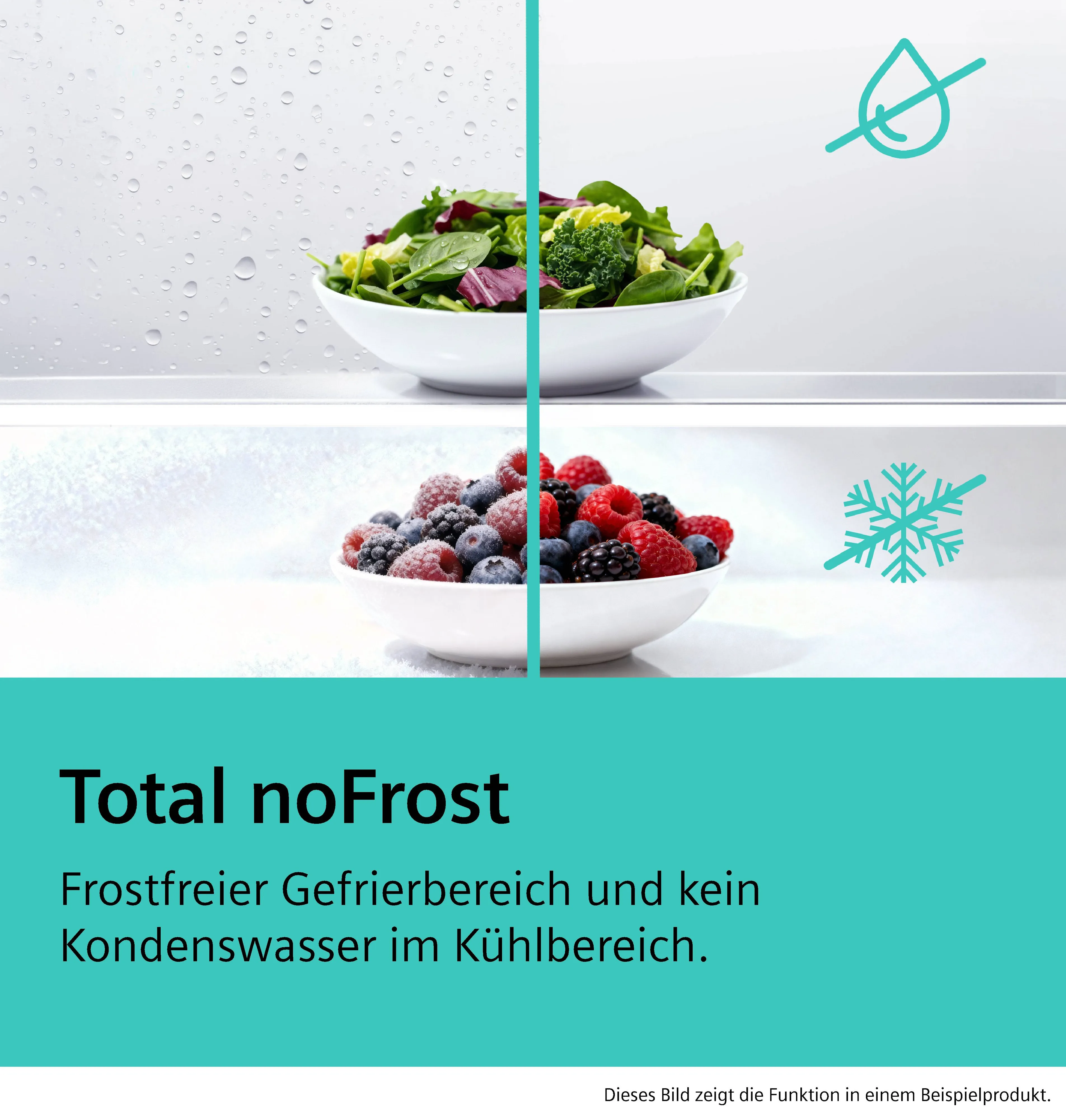 Foto Nr. 5 des Produkts KG36NEXAG