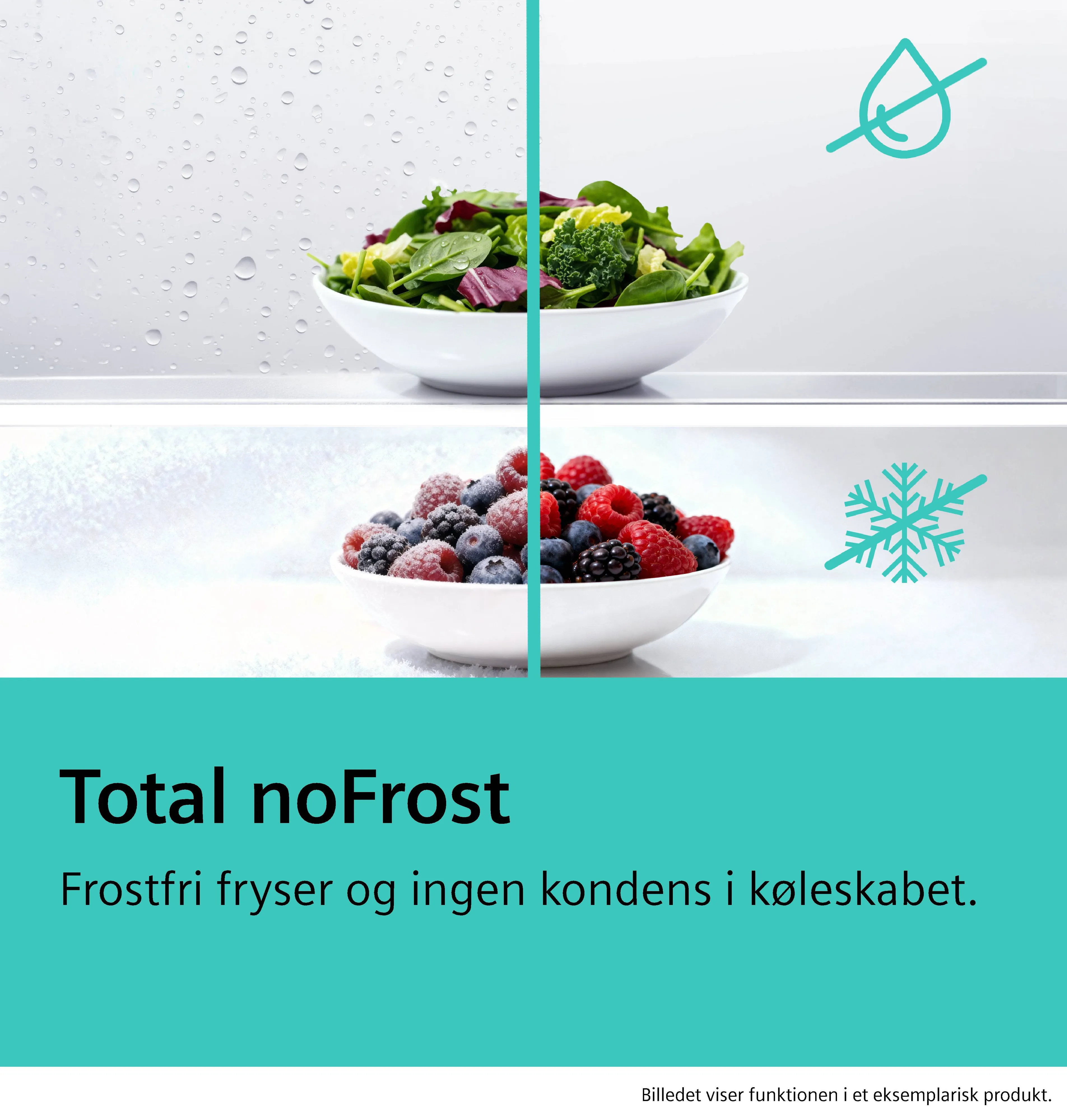 Foto nr. 11 af produktet KG49NAICT