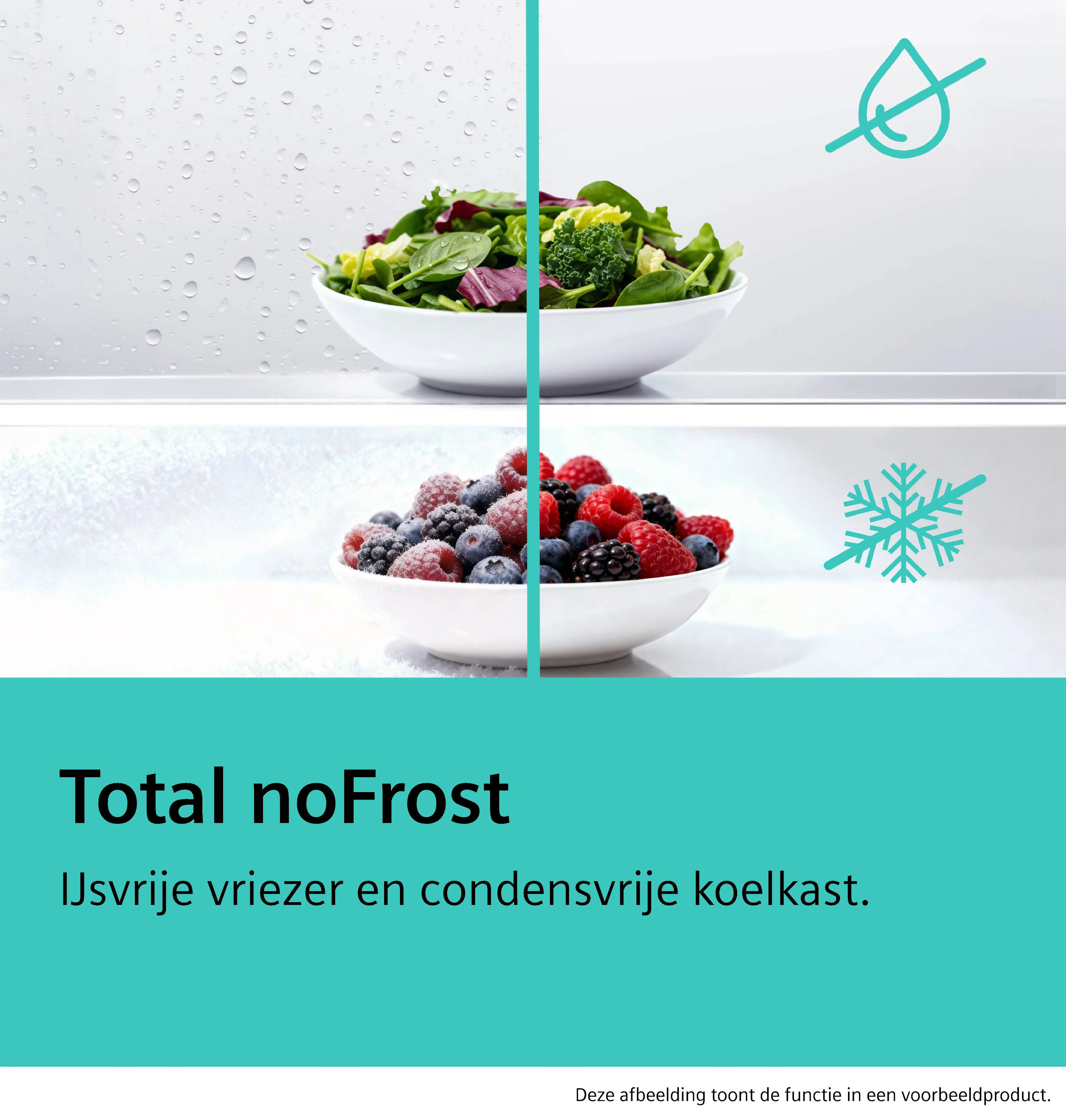 Foto nr. 10 van het product KG49NAICT