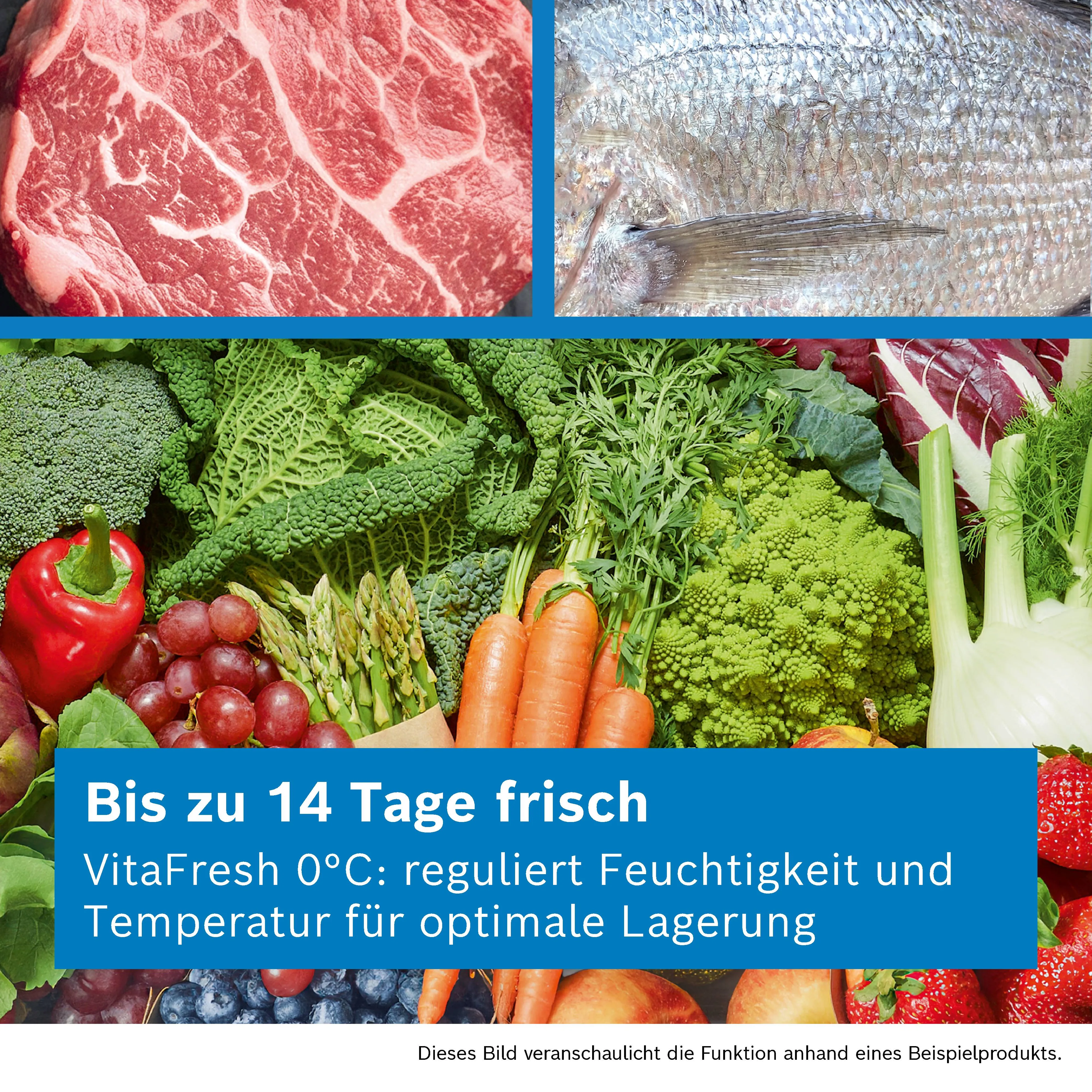 Foto Nr. 2 des Produkts KSN36AICM