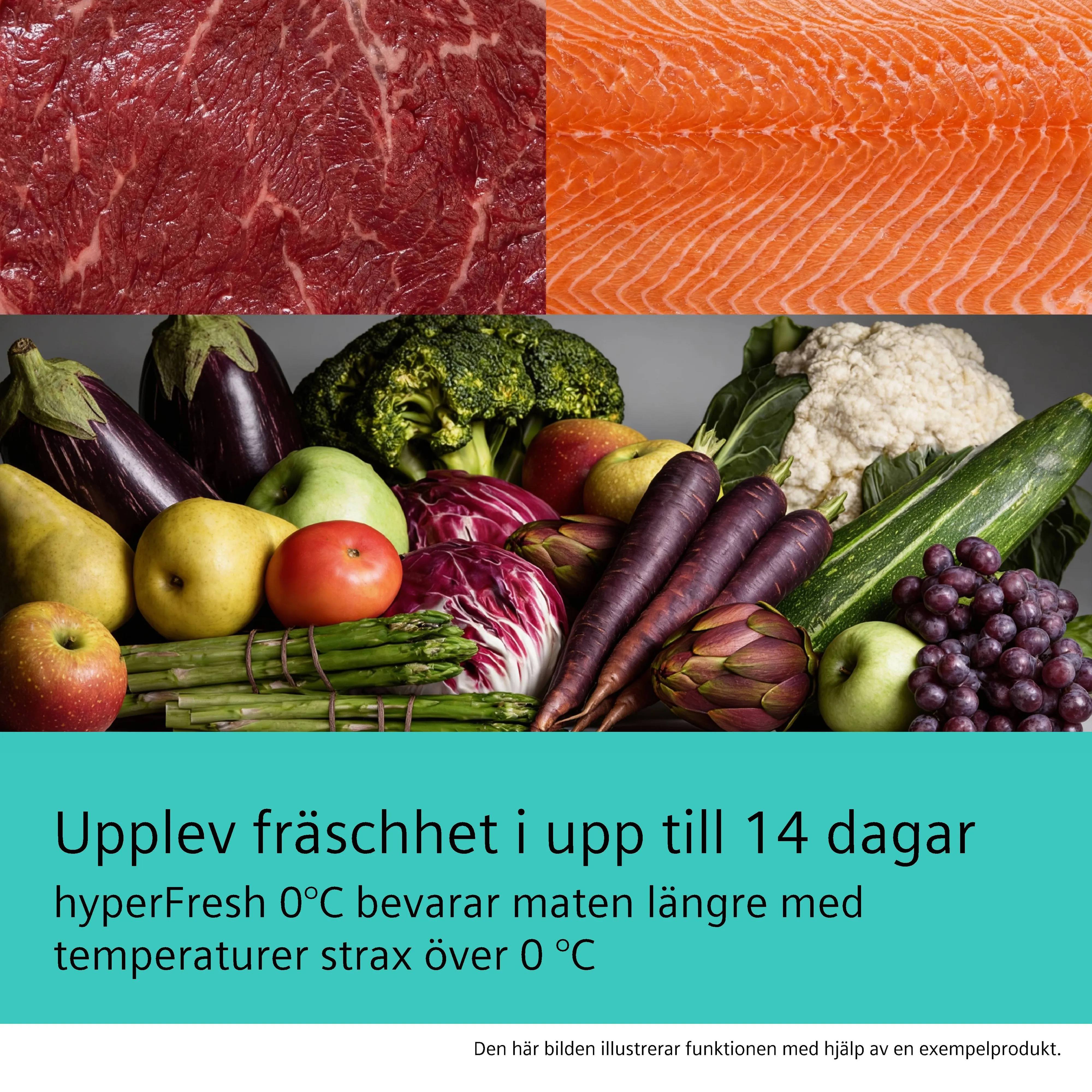Bild 6 av produkten KS36NAXCH