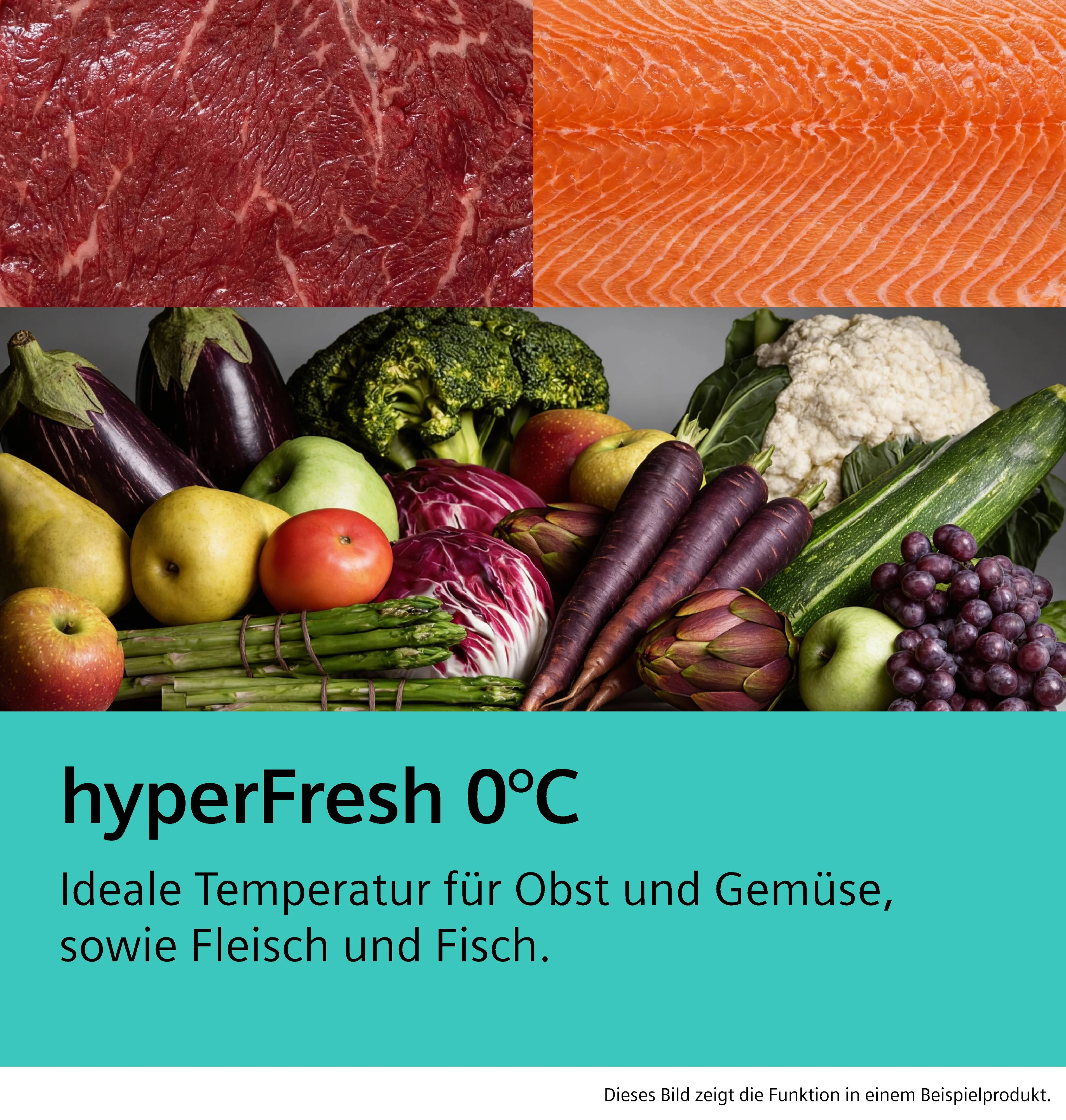 Foto Nr. 5 des Produkts KG49NVIAG