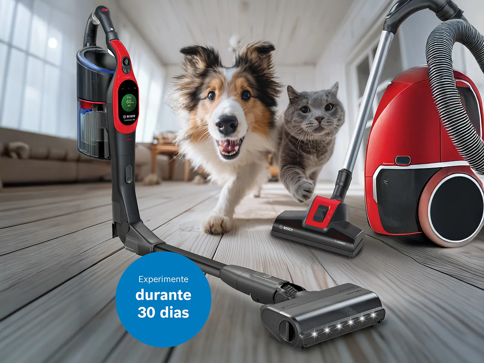 Cão e gato a correr em direção à câmara no centro de uma sala, rodeados por vários aspiradores Bosch e acessórios; selo azul no canto inferior esquerdo com o texto "Experimente durante 30 dias".