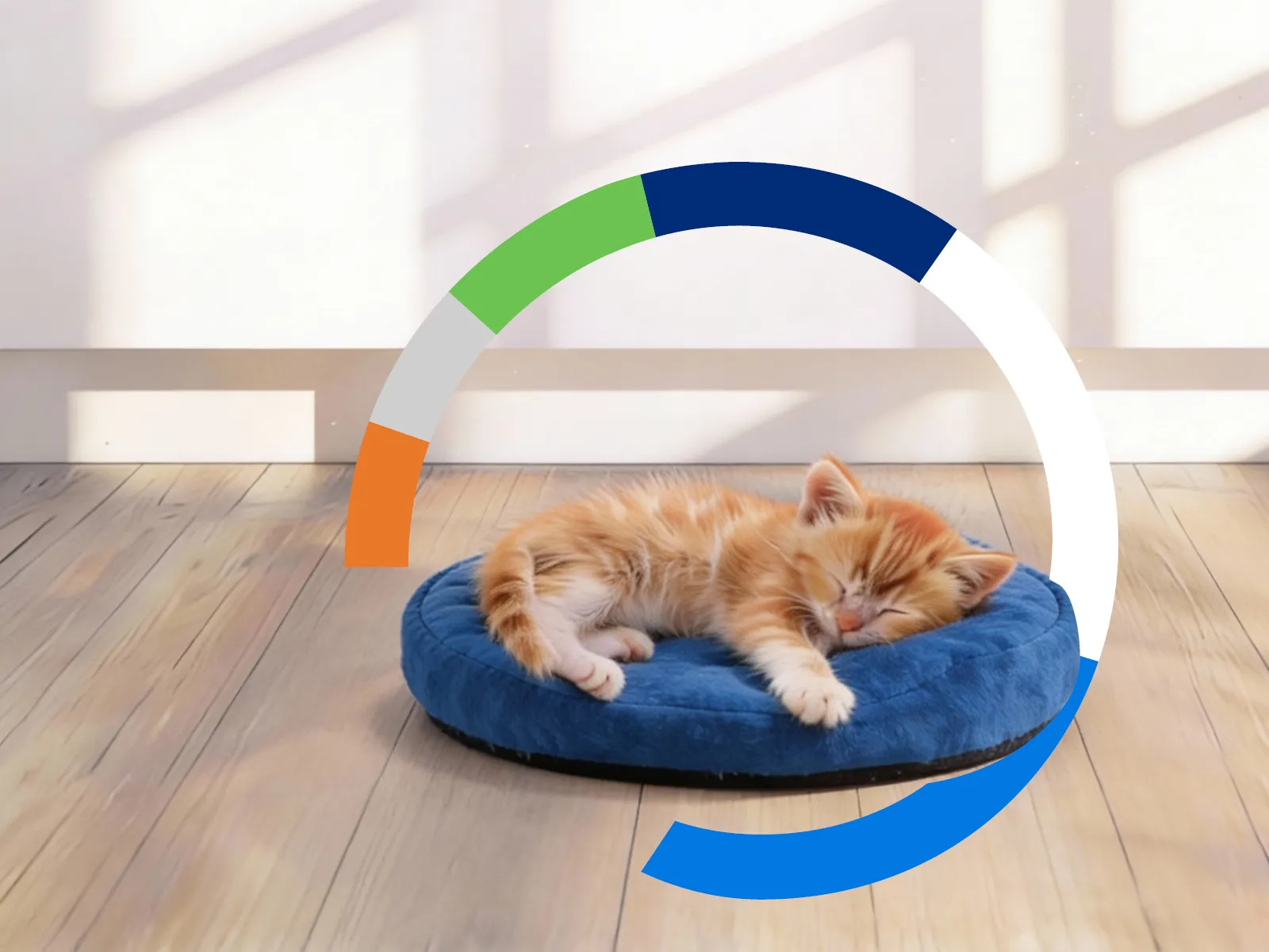 Gatito naranja durmiendo sobre una almohada azul en suelo de madera