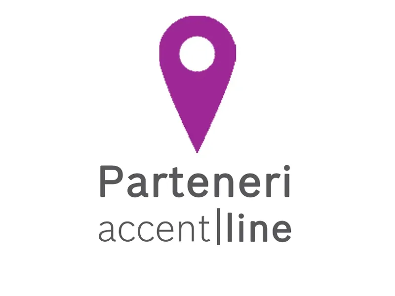 Pictograma parteneri accent line