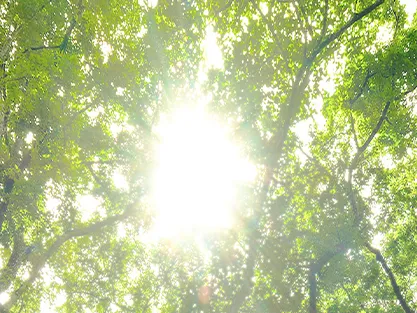 Bosch_PCG_Ovens_Eco-friendly