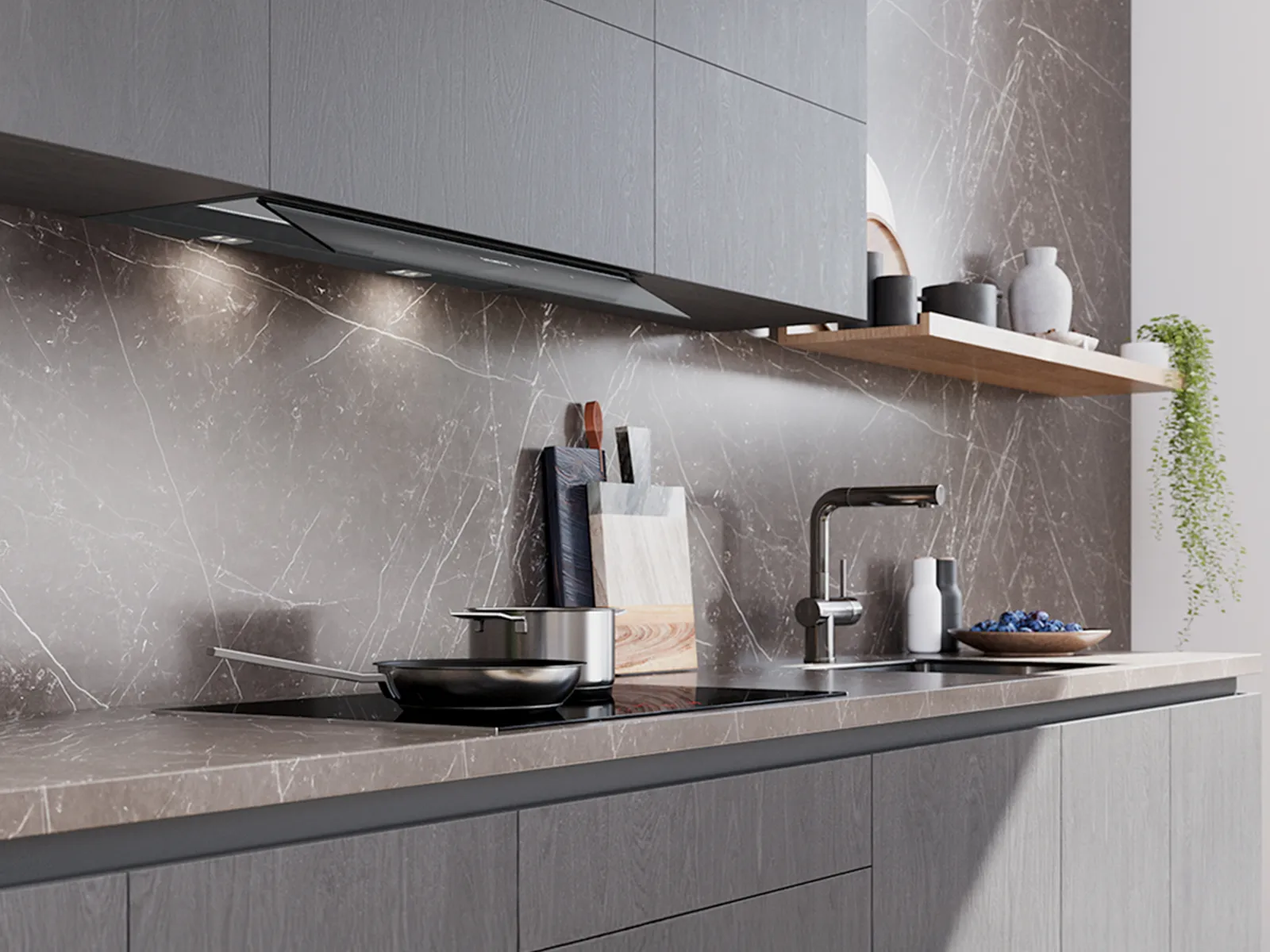 Integrated Built-in Hoods