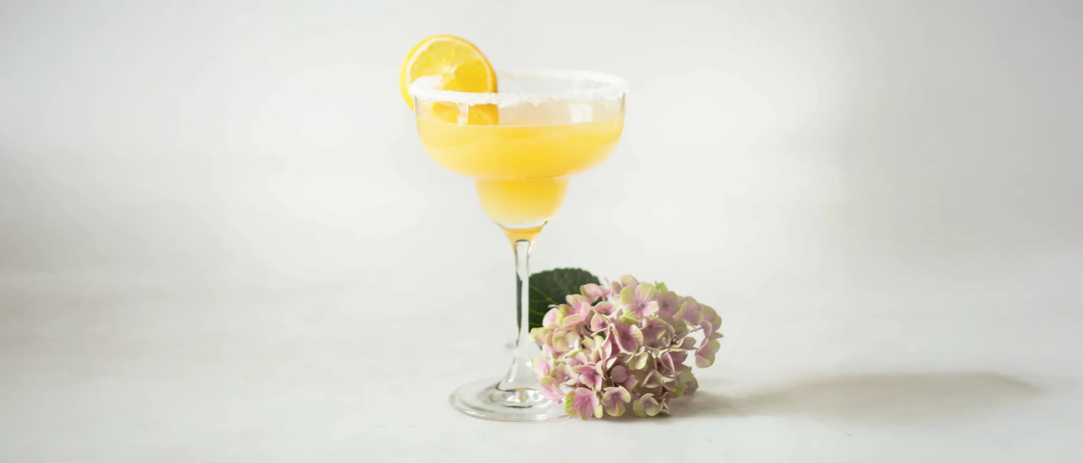 Yellow cocktail in a sugar-rimmed glass with a lemon slice, accompanied by a pink and green hydrangea flower on a white surface.
