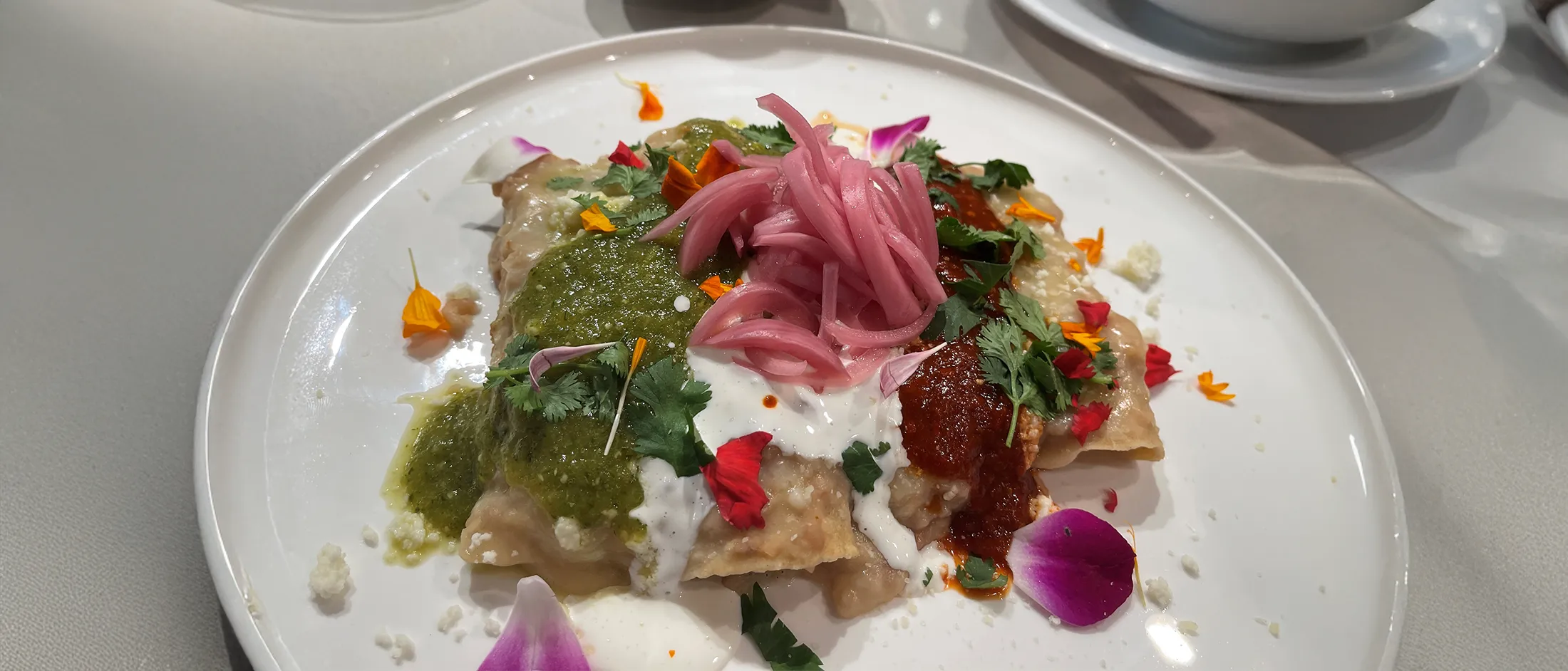 Enfrijoladas served on a plate with a side of fresh vegetables and a rustic background