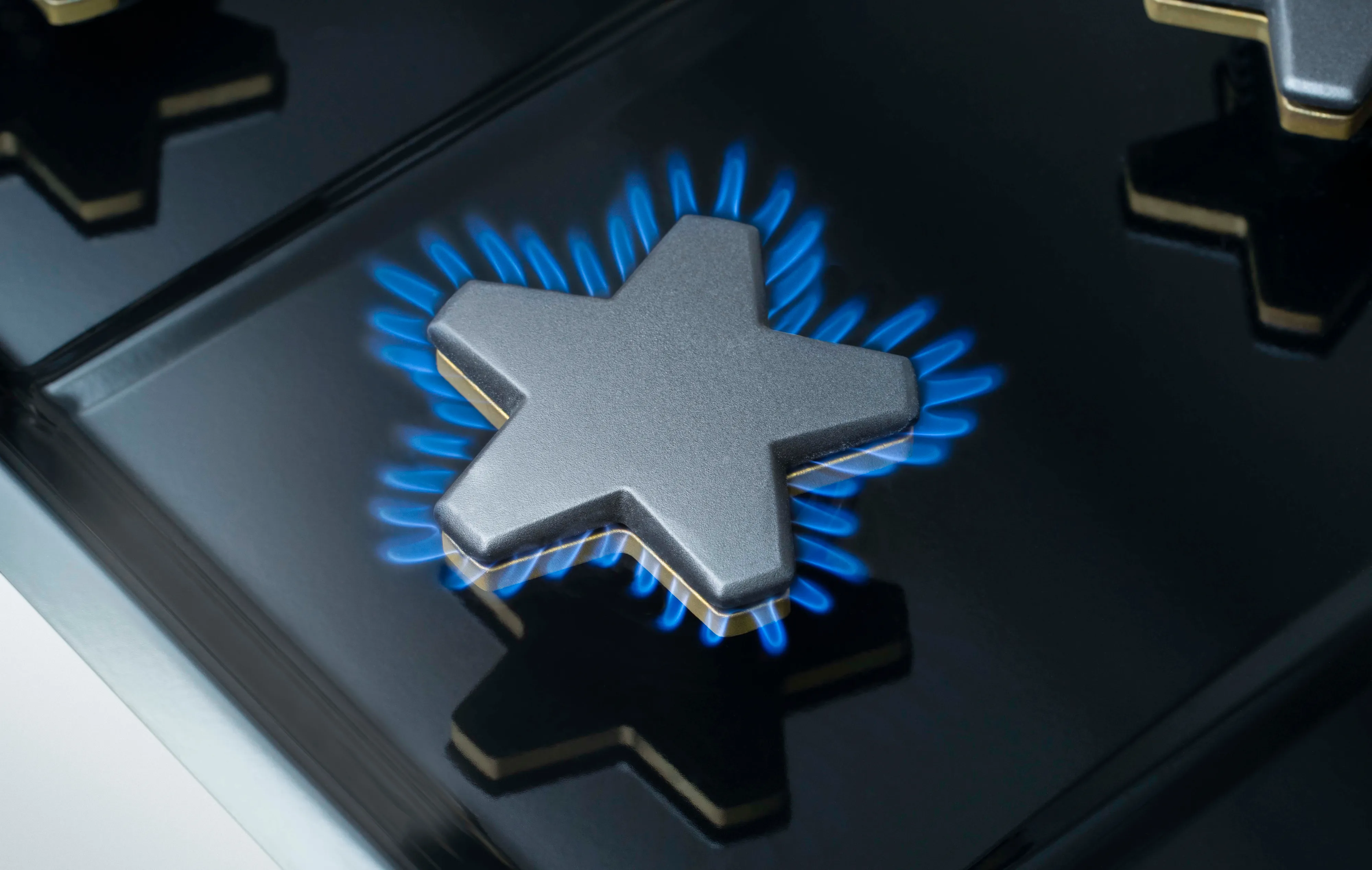 Thermador Star Burner